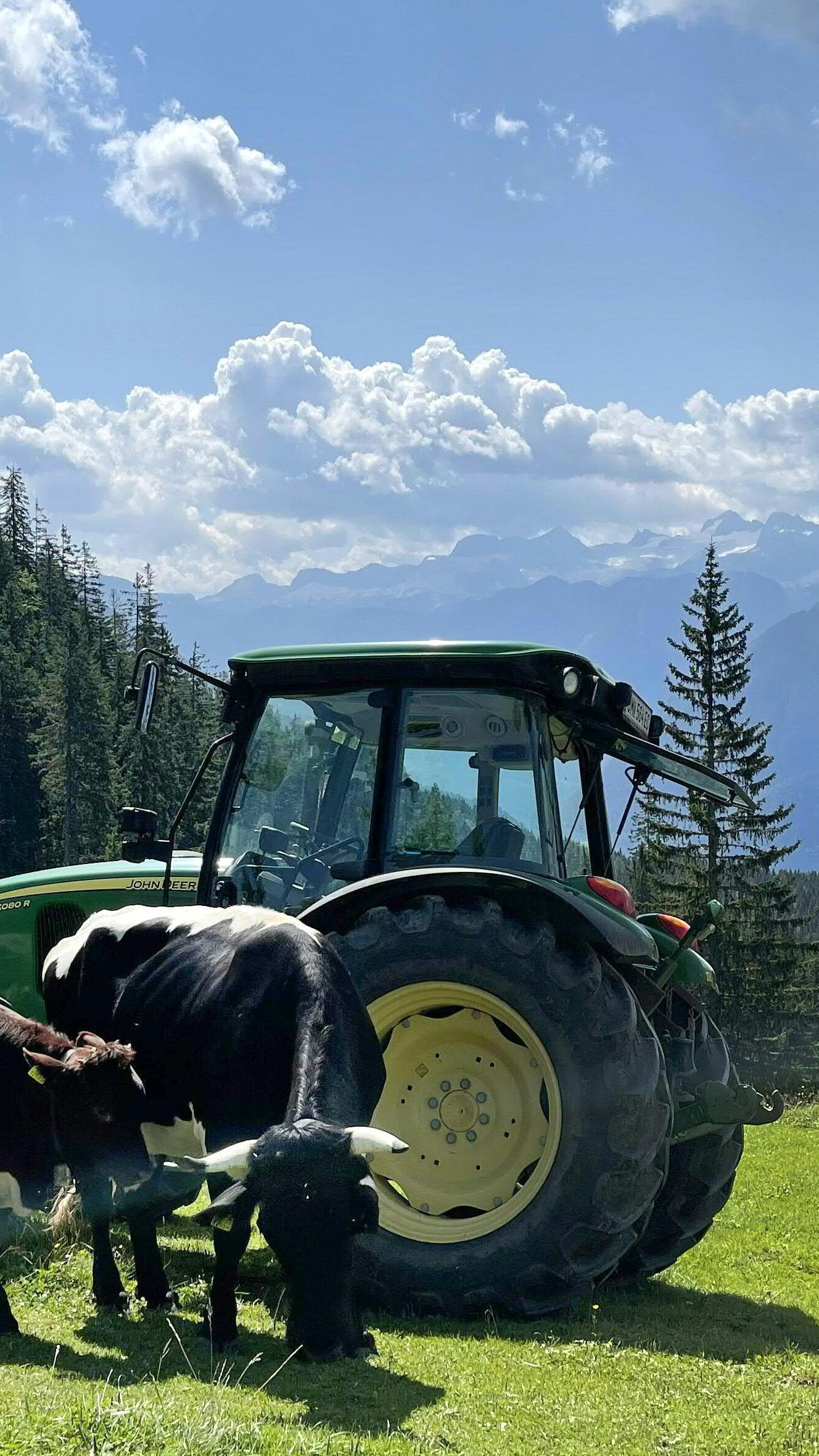 Die Arbeiterkammer kritisiert die Gewinne die die Landwirtschaft auf Kosten der Konsumenten erwirtschaftet haben soll.