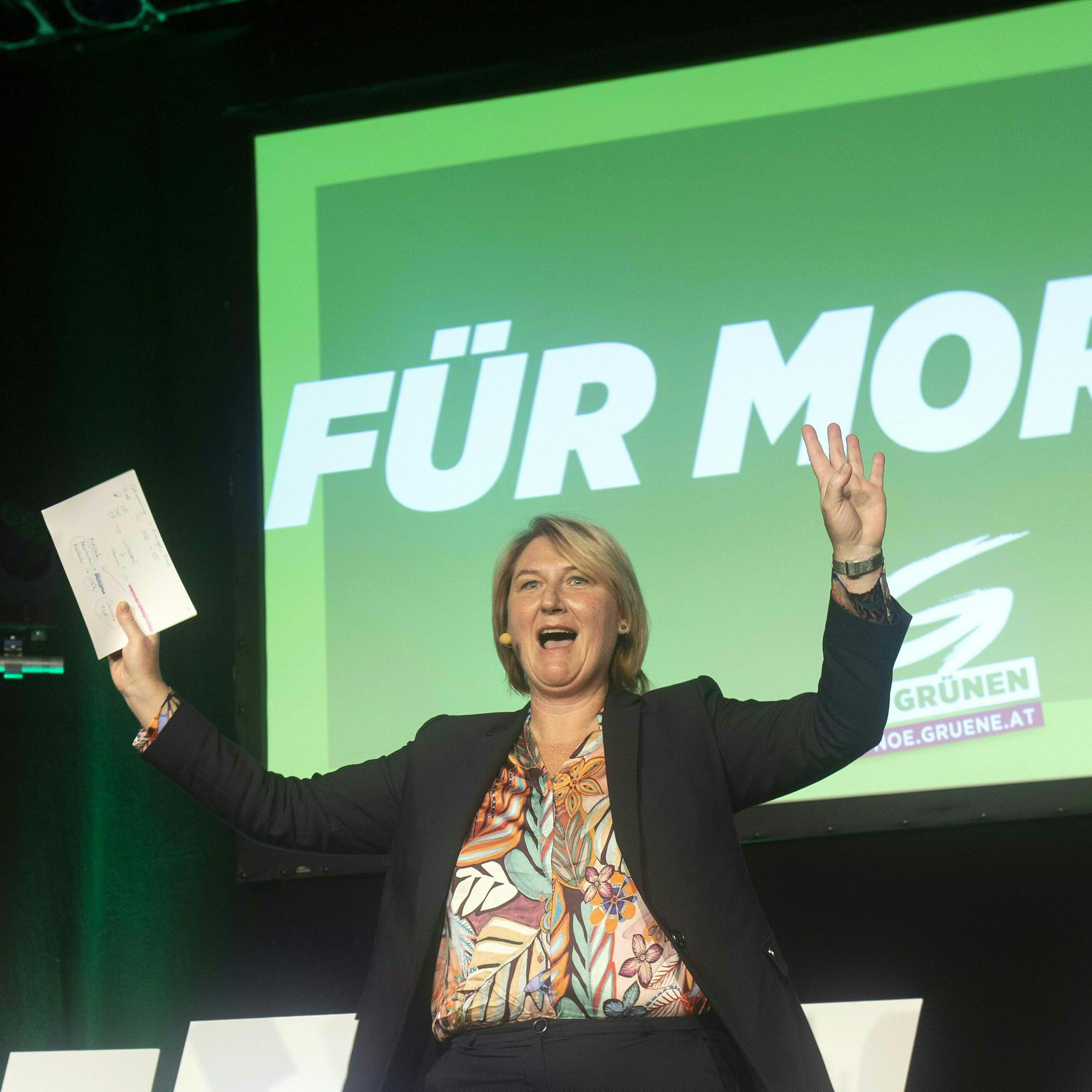 Krismer tritt erneut als Spitzenkandidatin der Grünen in NÖ an.