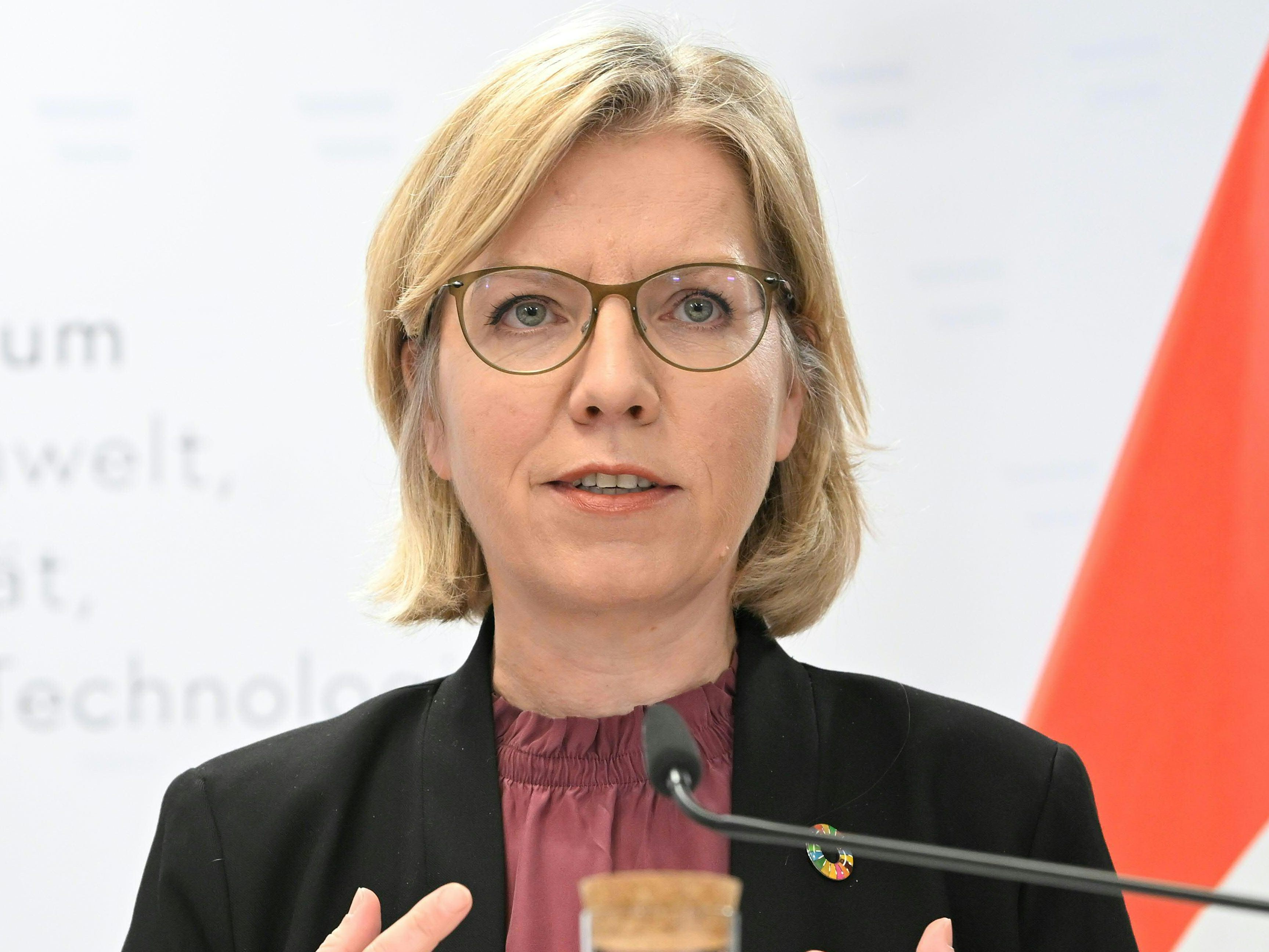 Leonore Gewessler hofft auf eine Lösung zum Gaspreisdeckel. Leonore Gewessler hofft auf eine Lösung zum Gaspreisdeckel.