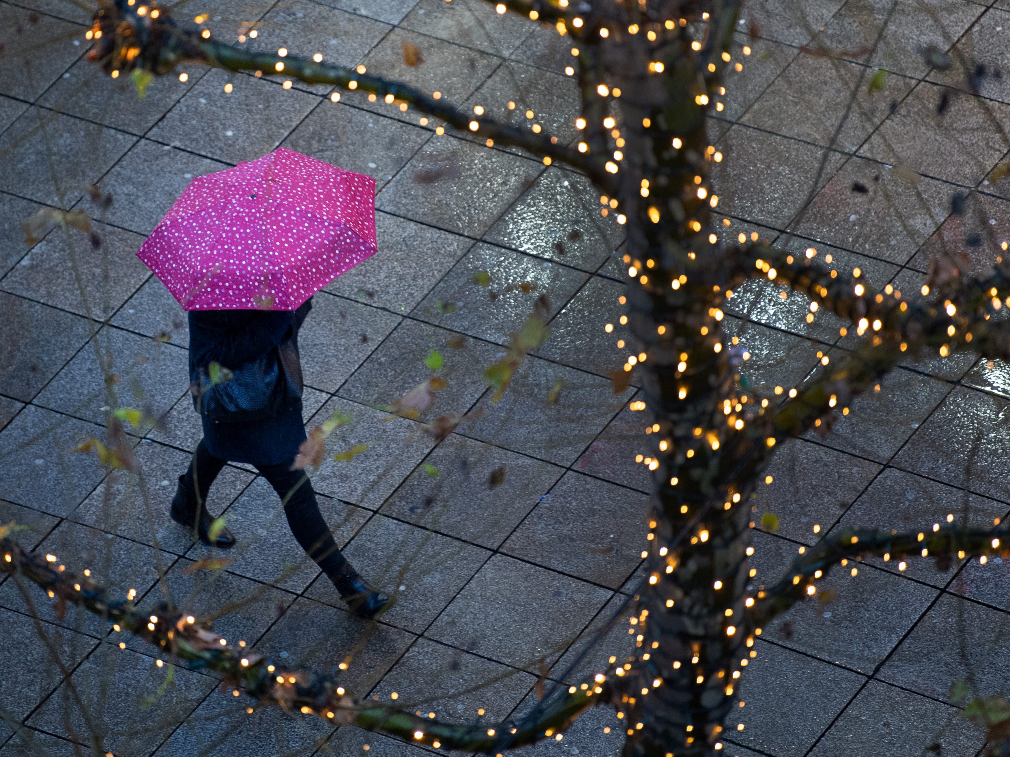Weihnachten: So wird das Wetter in Wien. Weihnachten: So wird das Wetter in Wien.