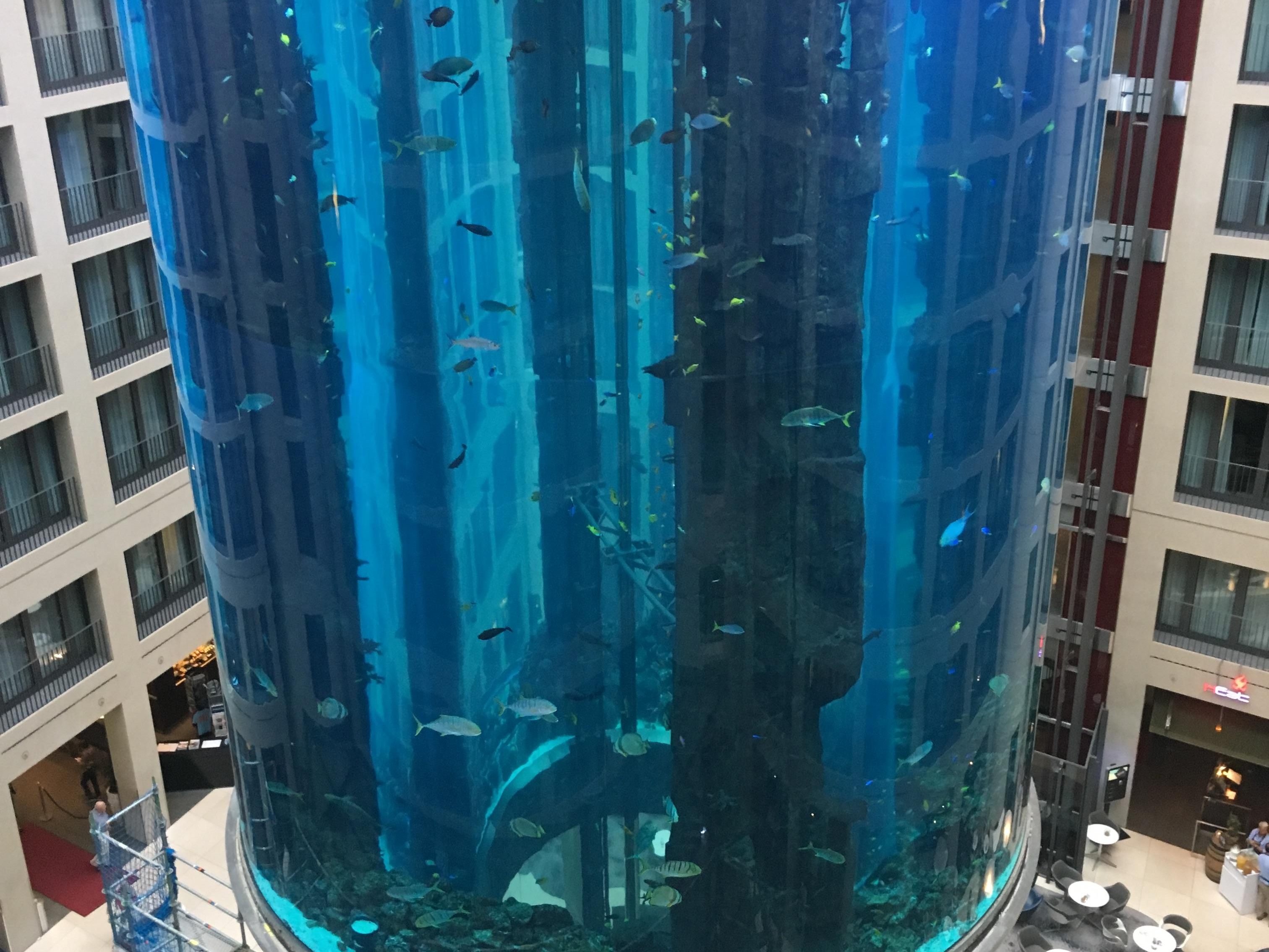 Letzte Woche kam es zum Platzen des Aquariums in Berlin. Das Bild stammt aus dem Jahr 2018. Letzte Woche kam es zum Platzen des Aquariums in Berlin. Das Bild stammt aus dem Jahr 2018.