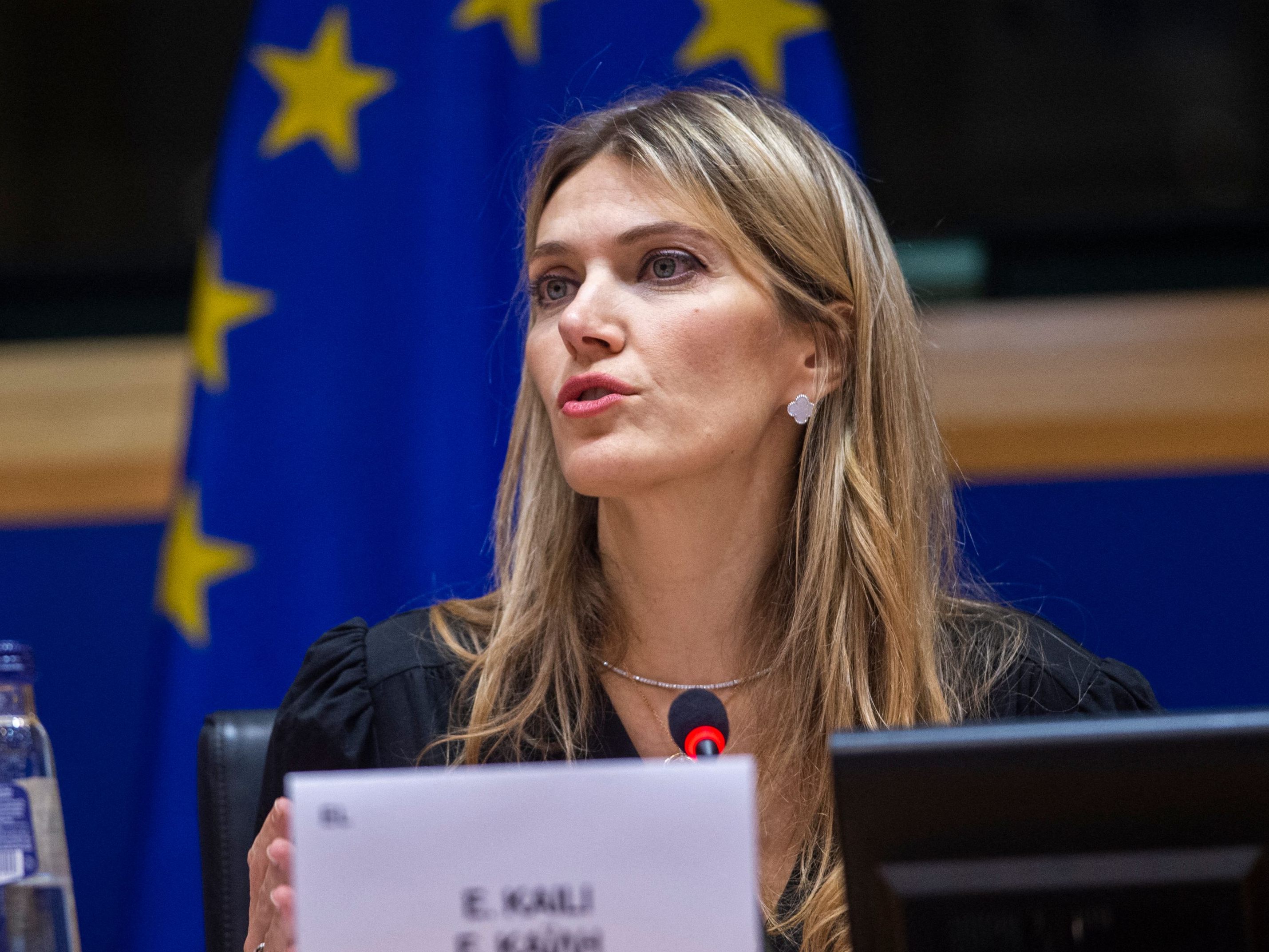 Die Absetzung Kailis wurde von den Abgeordneten des EU-Parlamentes mit 625 Stimmen bei nur einer Gegenstimme abgesegnet. Die Absetzung Kailis wurde von den Abgeordneten des EU-Parlamentes mit 625 Stimmen bei nur einer Gegenstimme abgesegnet.