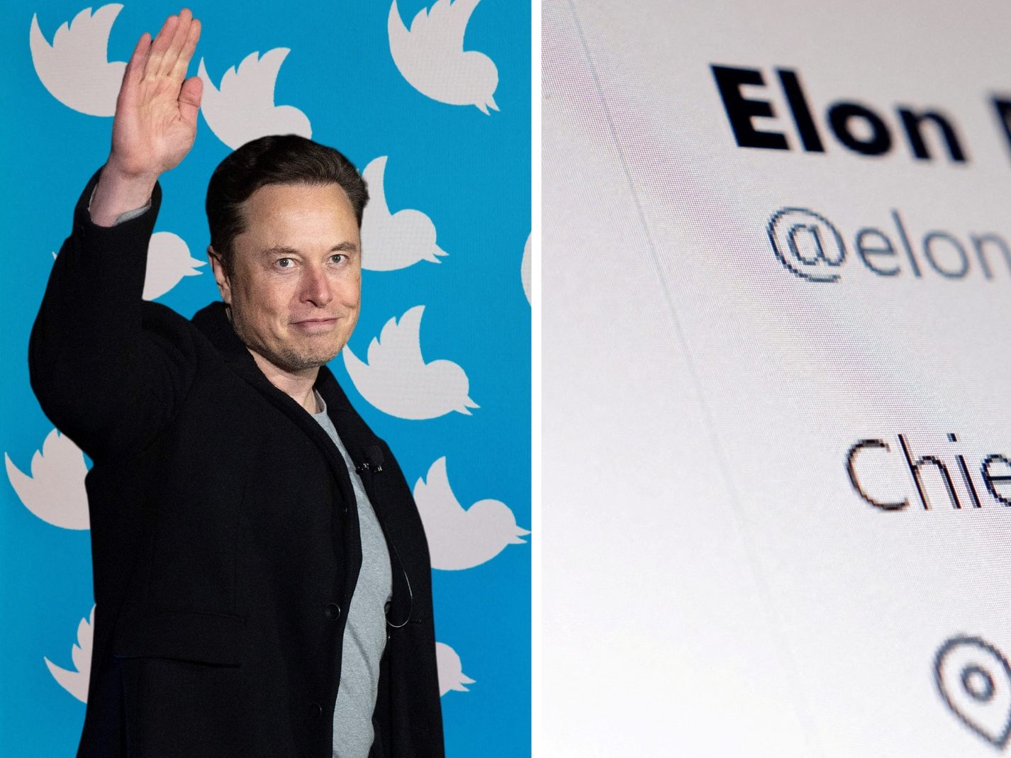 Wird Elon Musk zurücktreten? Wird Elon Musk zurücktreten?