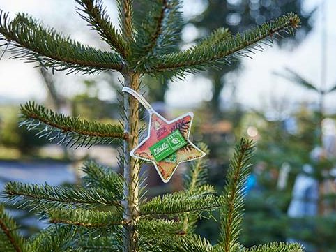 Nur echt mit dem Stern und Ländle Gütesiegel. © Christoph Pallinger