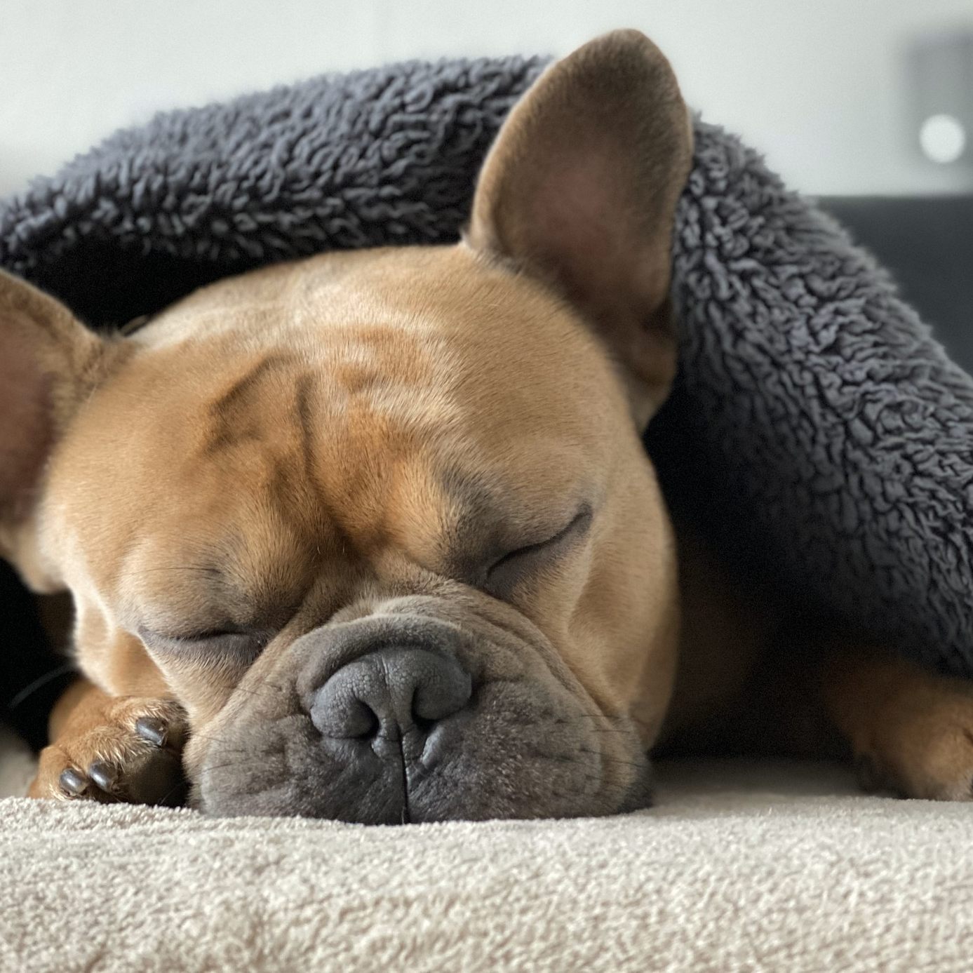 Auch zu viel Schlaf kann negative Folgen für die Gesundheit haben.