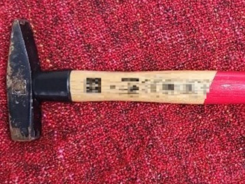 Ein Mann in Wien-Floridsdorf ging nach einem Streit mit einem Hammer auf seine Mutter los. Ein Mann in Wien-Floridsdorf ging nach einem Streit mit einem Hammer auf seine Mutter los.