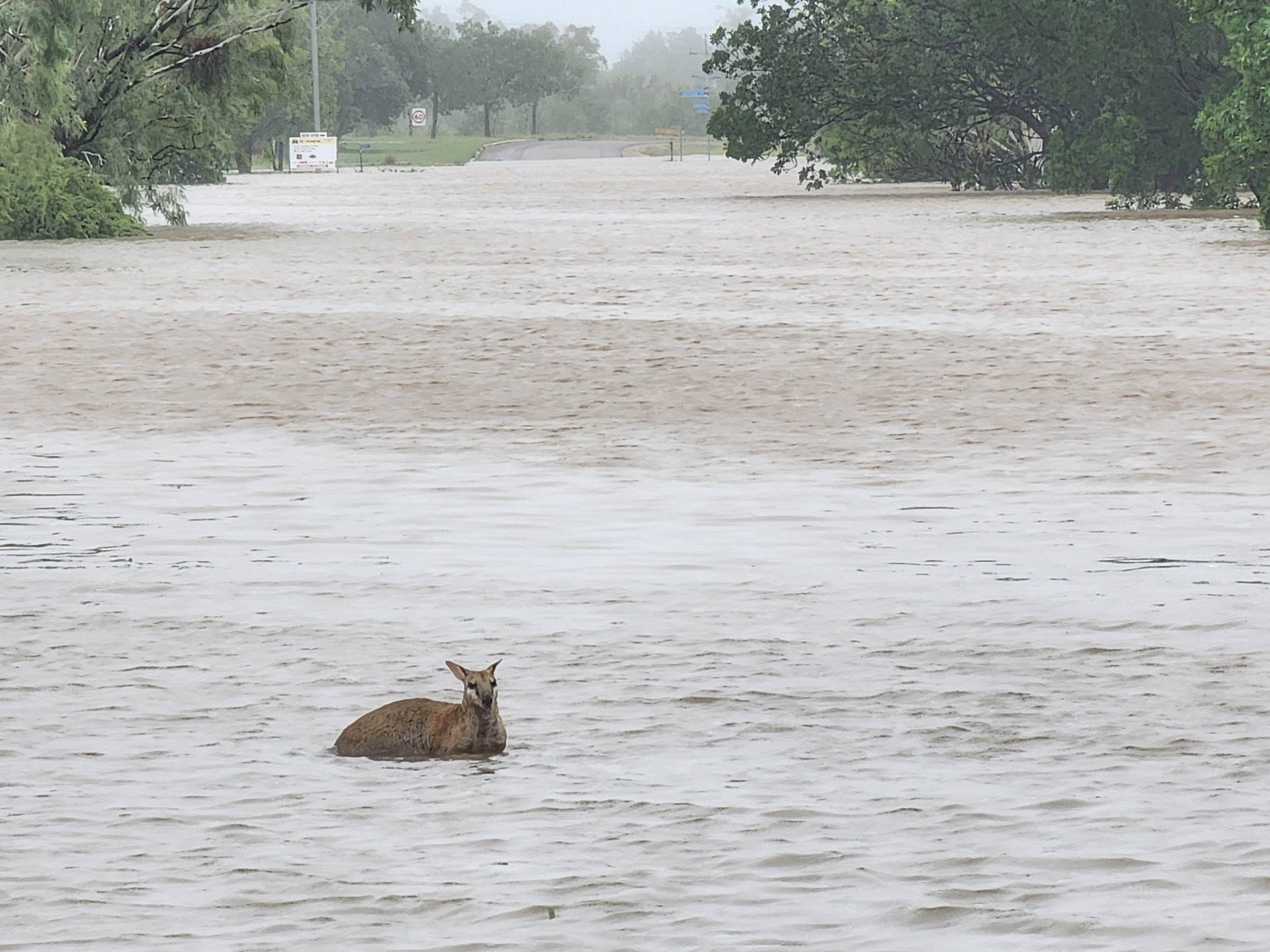 Teile Australiens stehen derzeit unter Wasser. Teile Australiens stehen derzeit unter Wasser.
