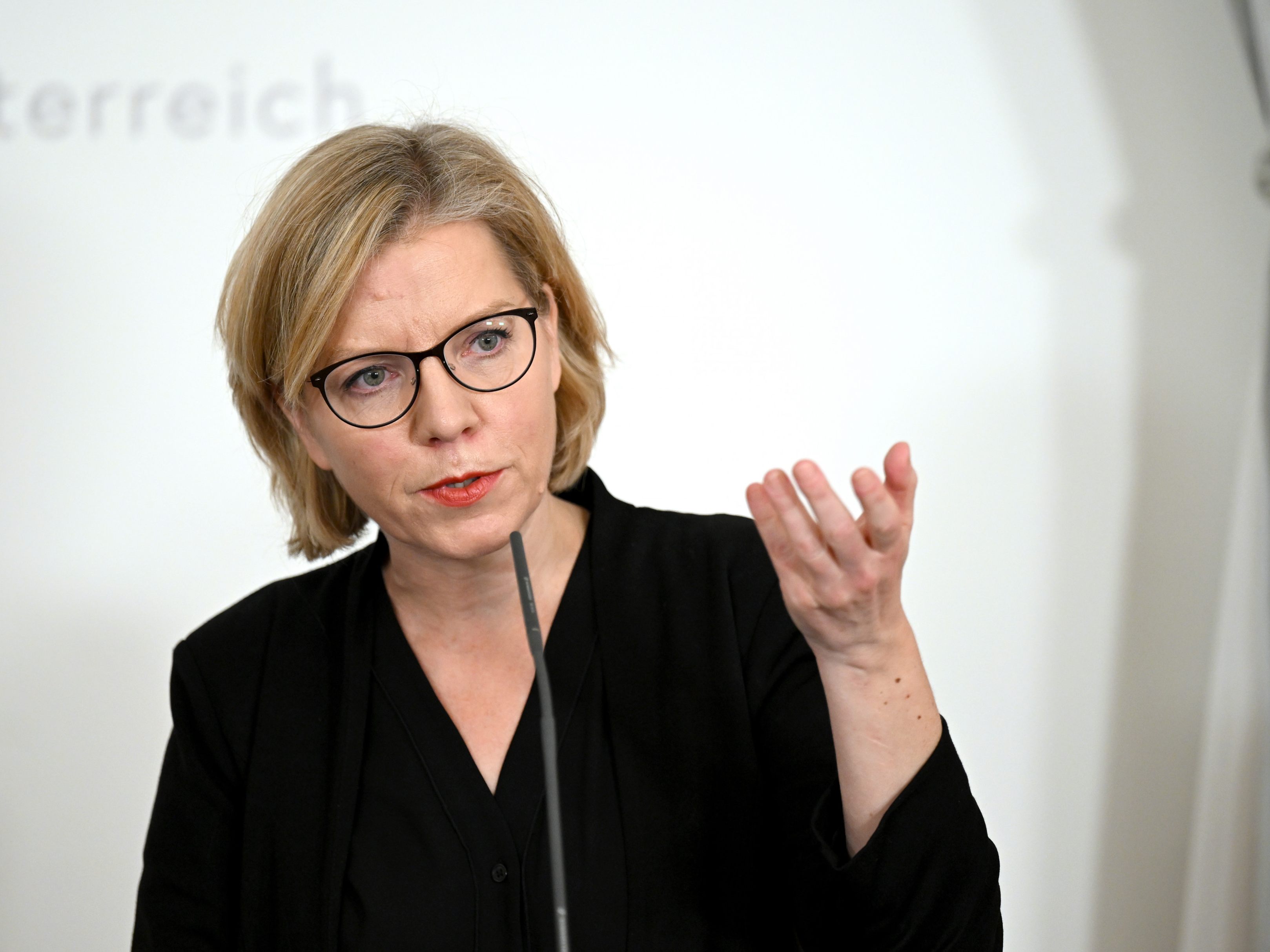 Klimaschutzministerin Leonore Gewessler äußerte erneut ihren Wunsch nach einem Fracking-Verbot.