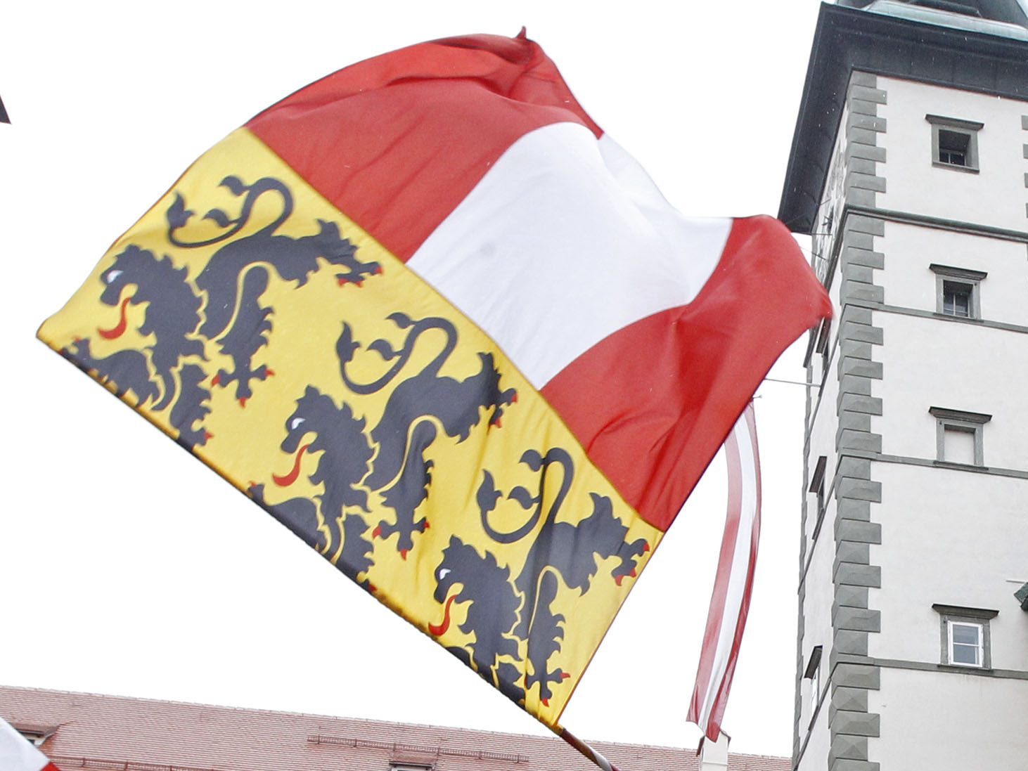 Ein angebliches Landesinserat sorgt in Kärnten für Wirbel.