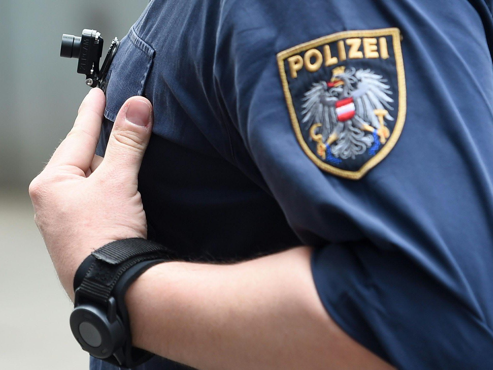 Ein Randalierer verletzte am Wiener Hauptbahnhof zwei Polizisten. Ein Randalierer verletzte am Wiener Hauptbahnhof zwei Polizisten.