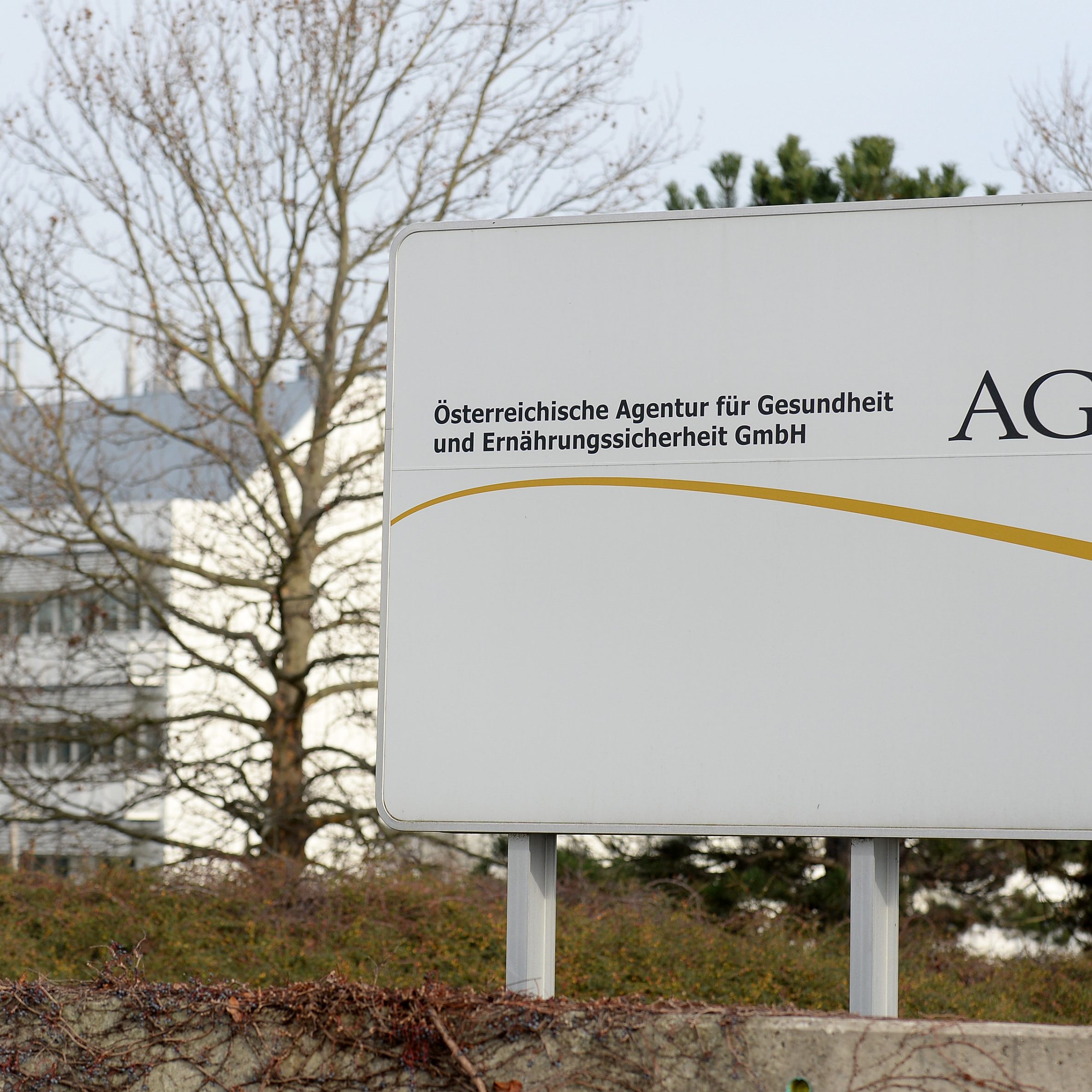 AGES erklärte, dass Aviäre Influenza (Geflügelpest, Vogelgrippe) hochansteckende Viruserkrankung der Vögel ist.