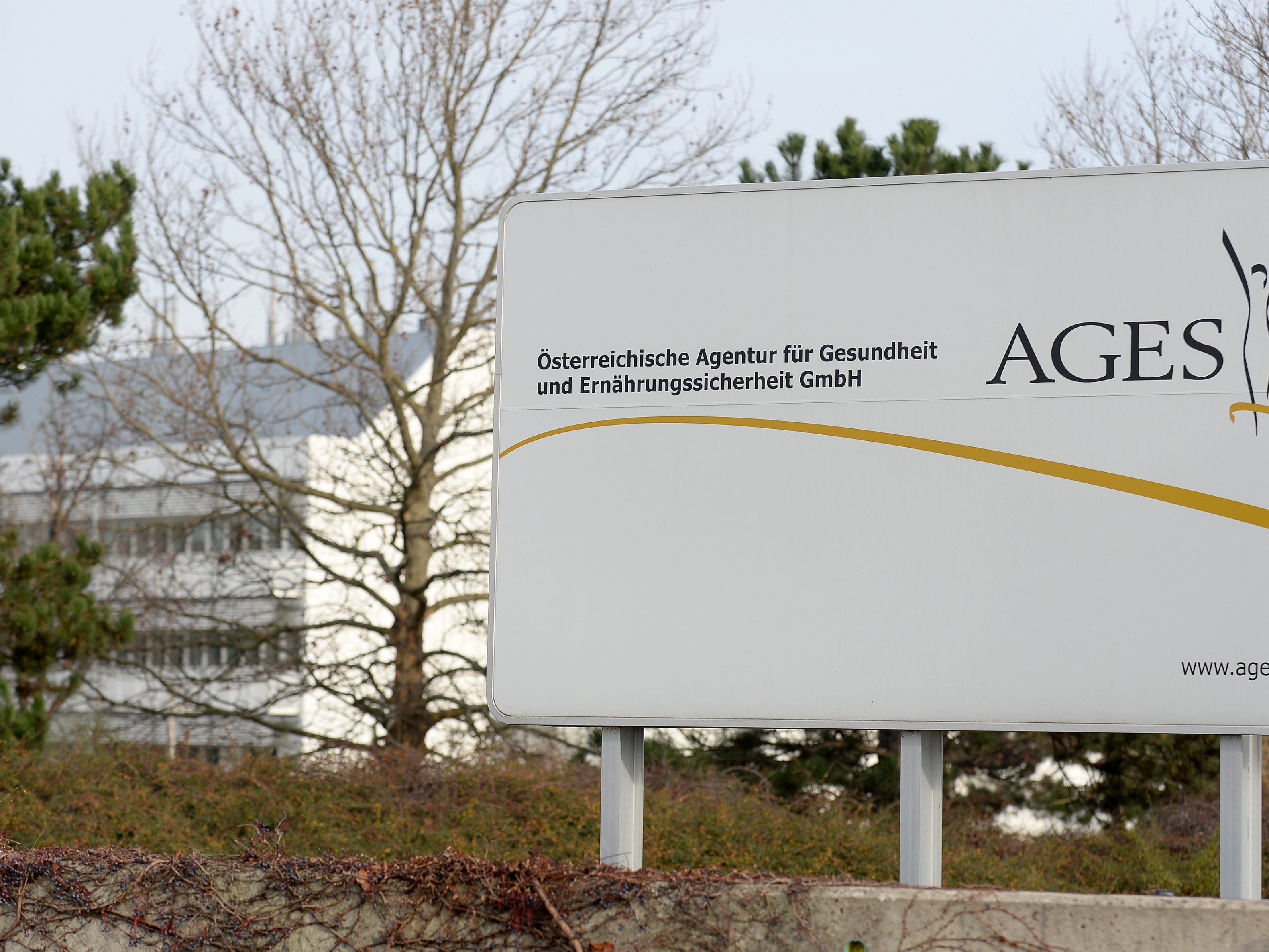 AGES erklärte, dass Aviäre Influenza (Geflügelpest, Vogelgrippe) hochansteckende Viruserkrankung der Vögel ist. AGES erklärte, dass Aviäre Influenza (Geflügelpest, Vogelgrippe) hochansteckende Viruserkrankung der Vögel ist.