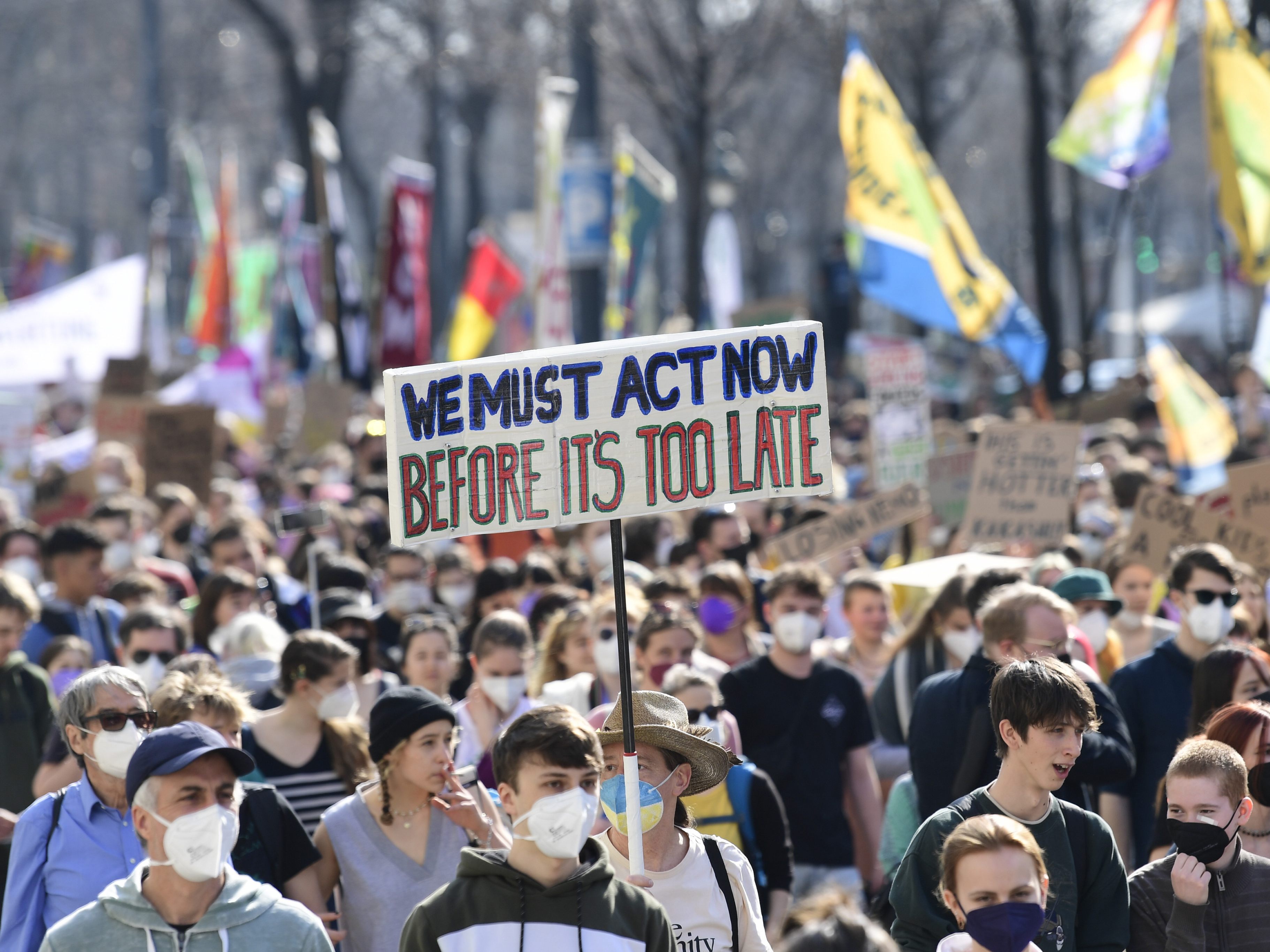 Klimaprotest vor der NÖ-Landtagswahl angekündigt.