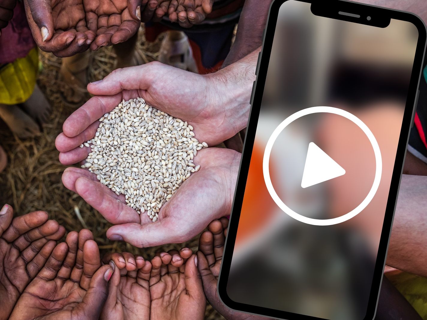 Surthany Hejeij's Videos werden millionenfach geklickt und geliked. (Symbolbild)