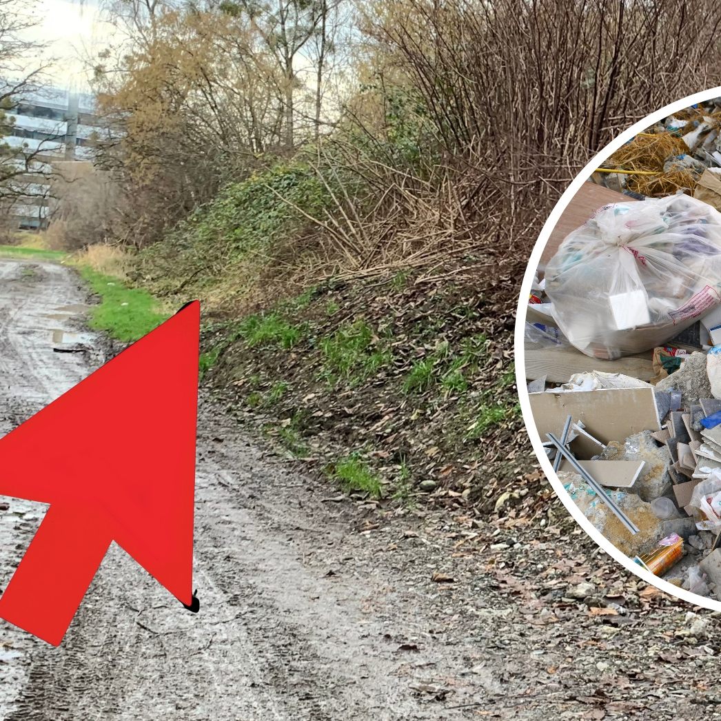 Im Ried wurde eine Mülldeponie aus den 1970er Jahren entdeckt.