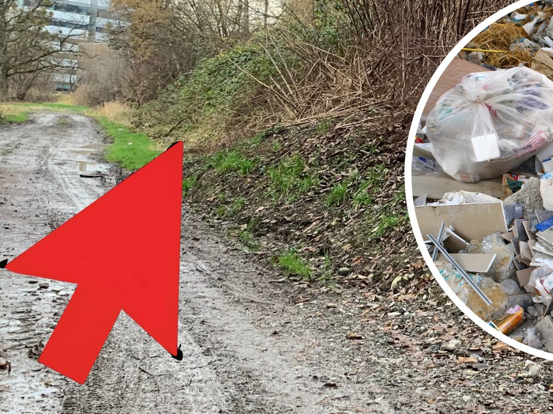 Im Ried wurde eine Mülldeponie aus den 1970er Jahren entdeckt. Im Ried wurde eine Mülldeponie aus den 1970er Jahren entdeckt.