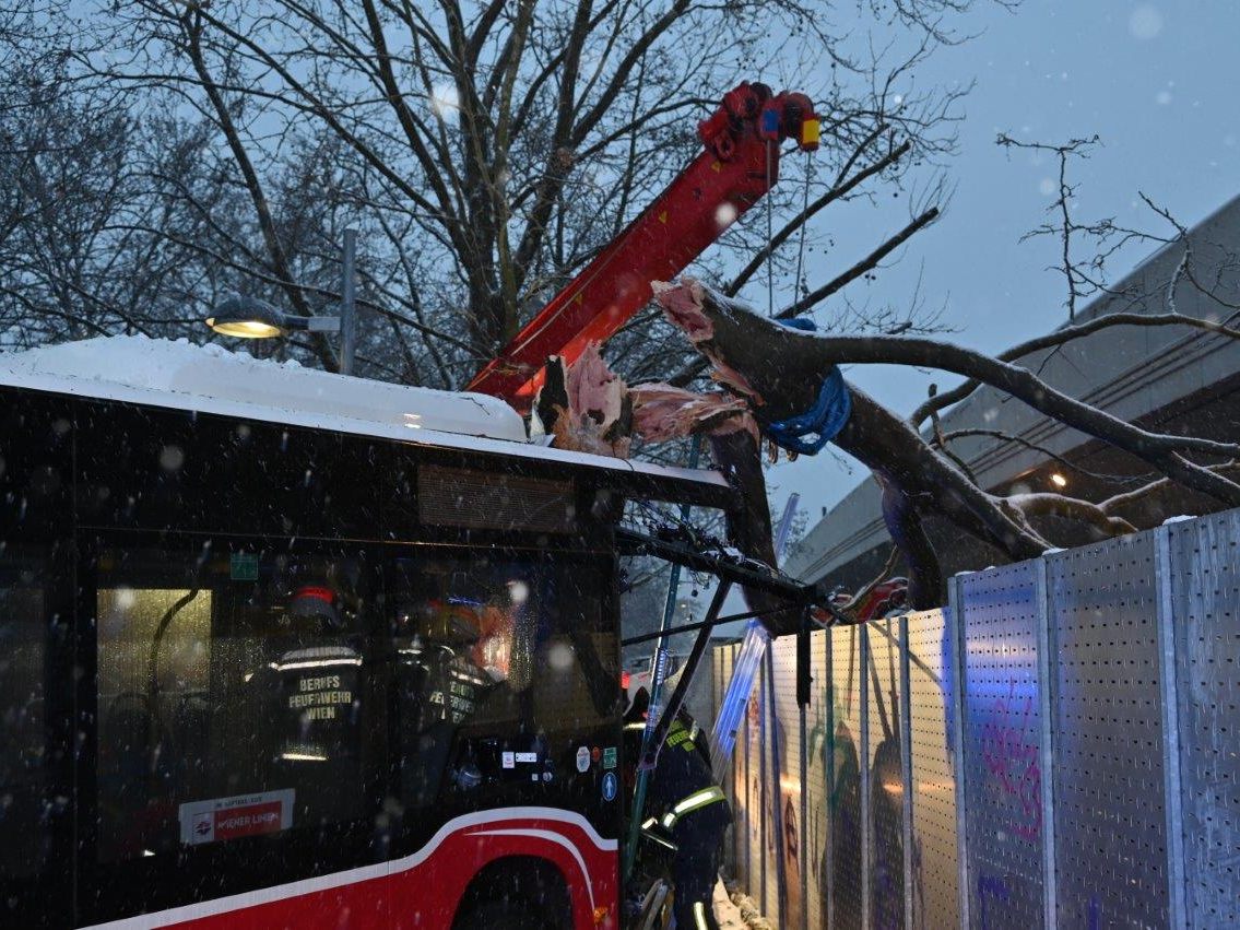 Der Buslenker wurde bei dem Unfall im Fahrzeug eingeklemmt.