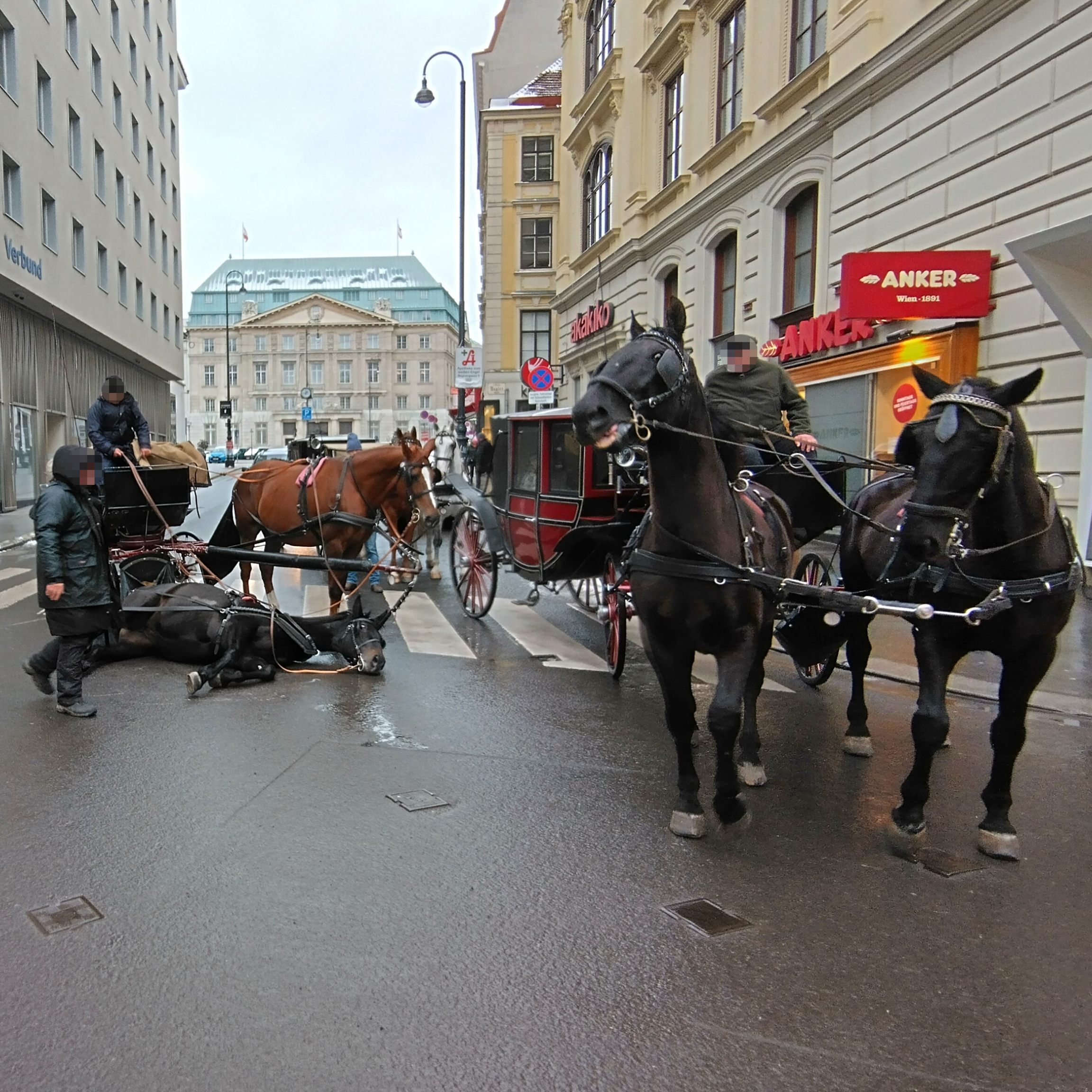 Nach dem Sturz konnte das Pferd nicht sofort wieder selbstständig aufstehen.