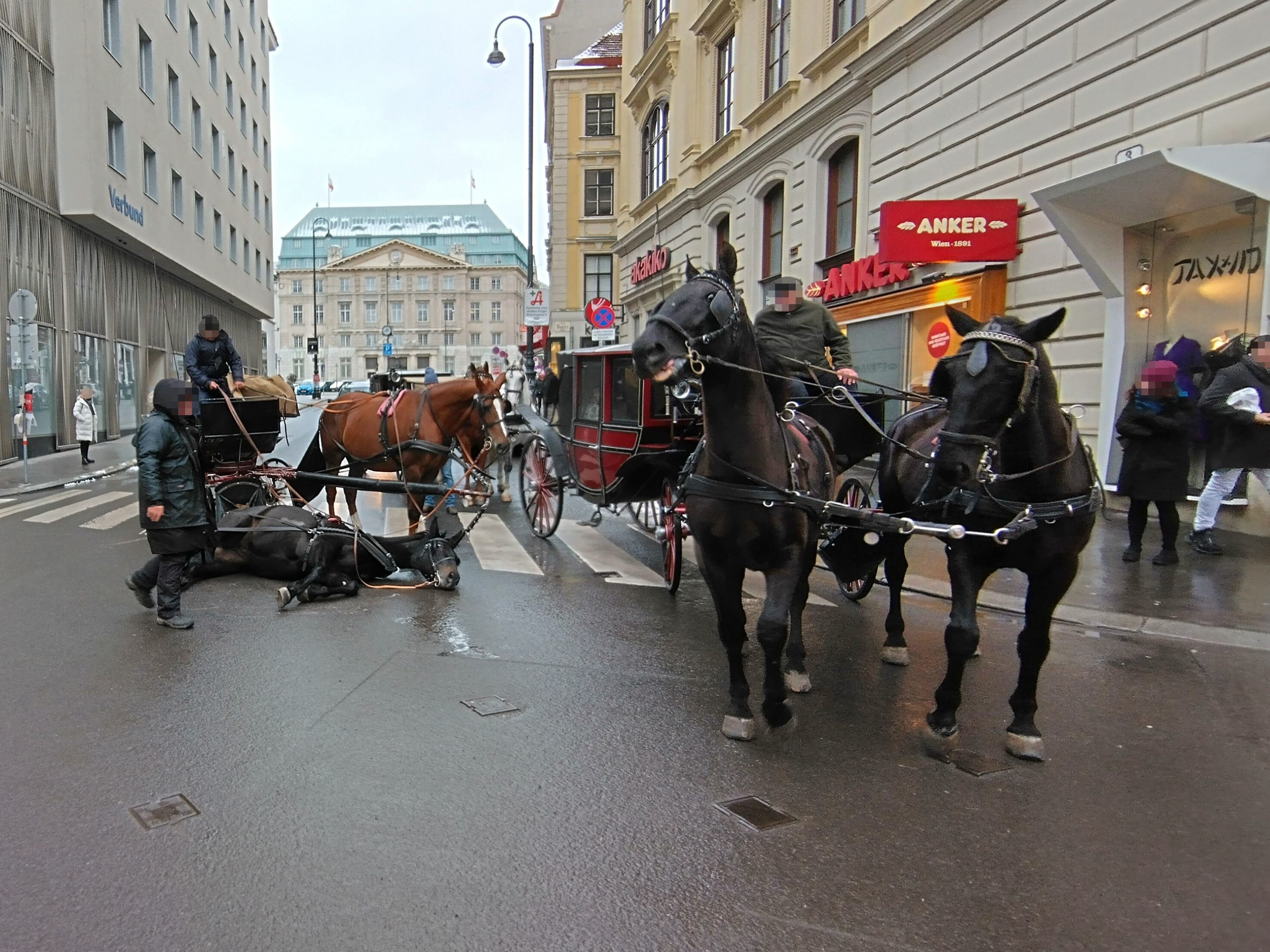 Nach dem Sturz konnte das Pferd nicht sofort wieder selbstständig aufstehen. Nach dem Sturz konnte das Pferd nicht sofort wieder selbstständig aufstehen.