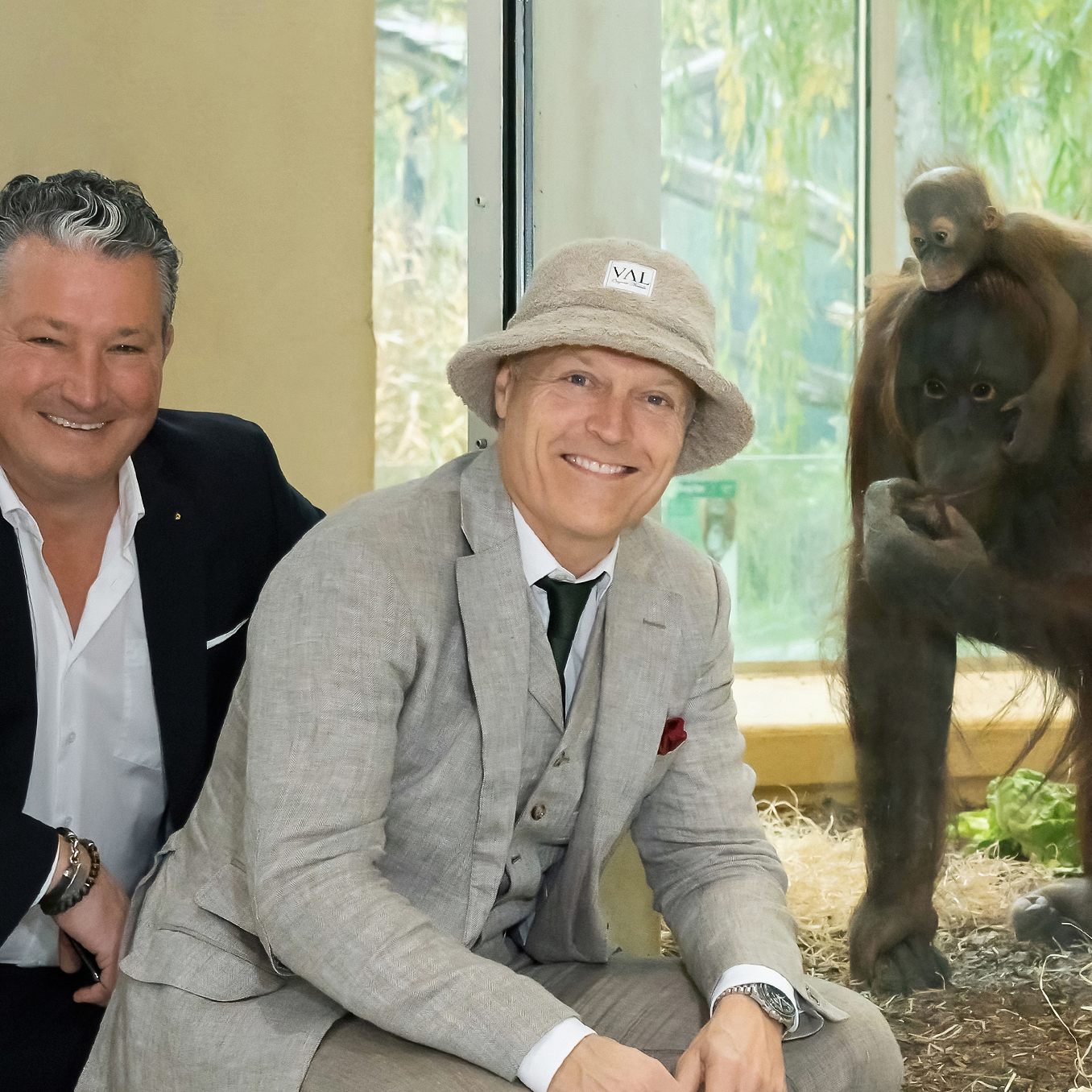 Der Pianist Joja Wendt gibt am 11. Jänner 2023 ein Konzert im Wiener Tiergarten Schönbrunn.