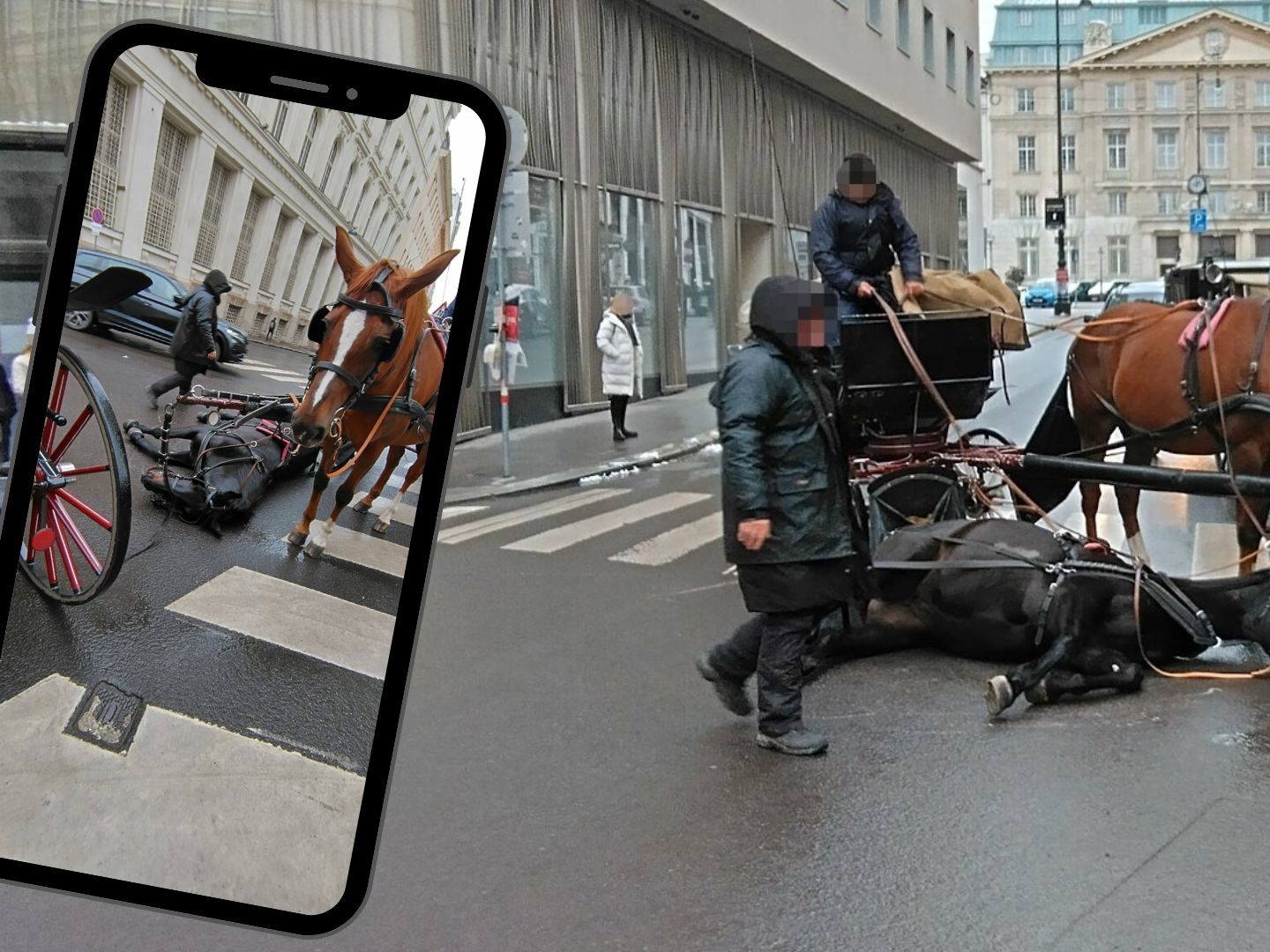 Erneut ist es in Wien zu einem Fiaker-Unfall gekommen.