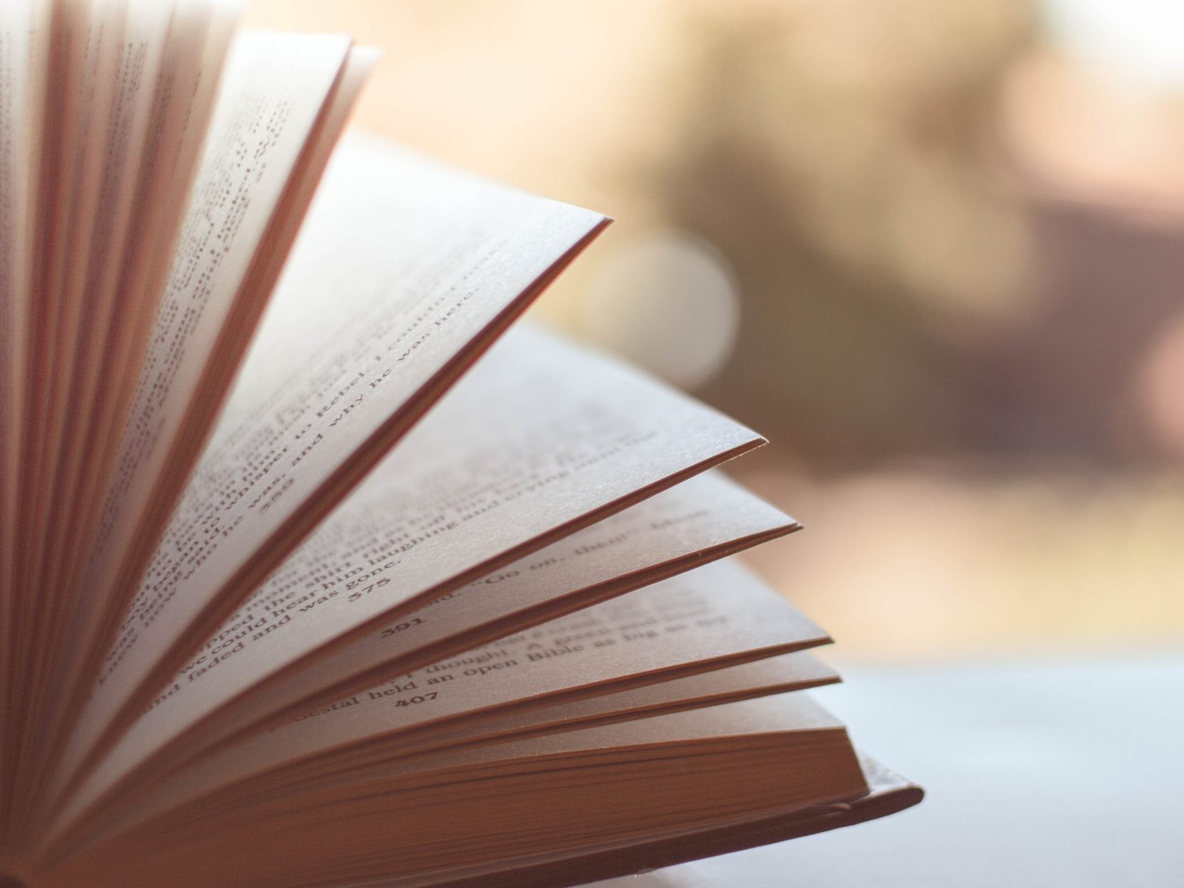 Das sind die Bezieher der diesjährigen Wiener Elias-Canetti-Stipendien.