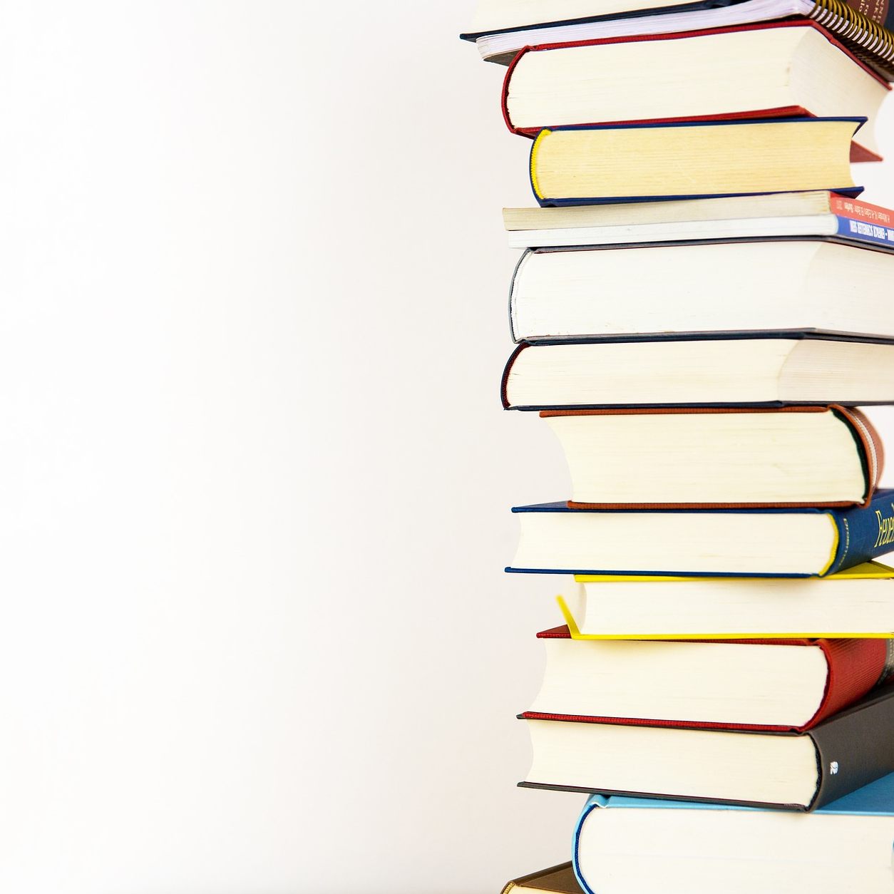 Der Buchmarkt verzeichnete im letzten Jahr ein Umsatz-Plus.