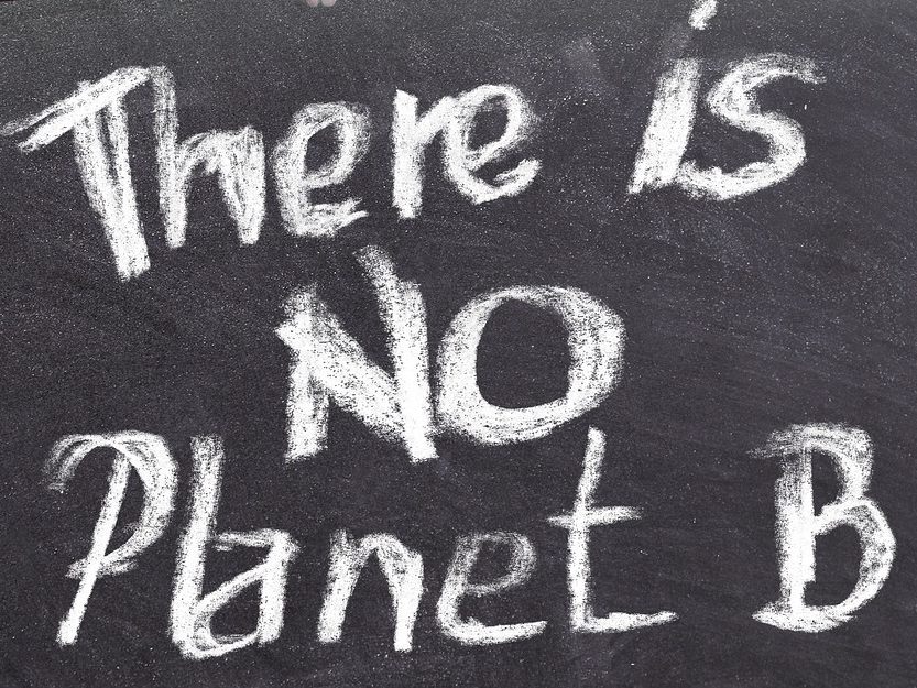 Initiativen unterzogen die Parteien vor der NÖ-Wahl einem "Klimacheck".