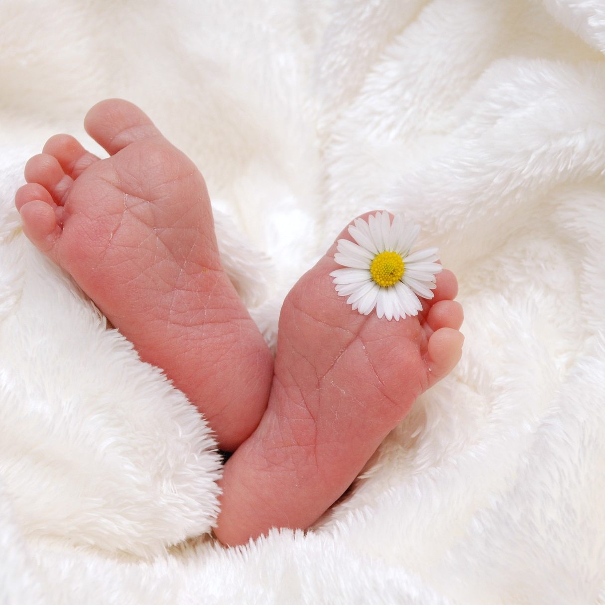 Laut dem Landesgesundheitsfonds gäbe es keinen Mangel an Geburtenplätzen in Wiens Spitälern.