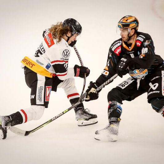 Metzler & Co gehen leer aus