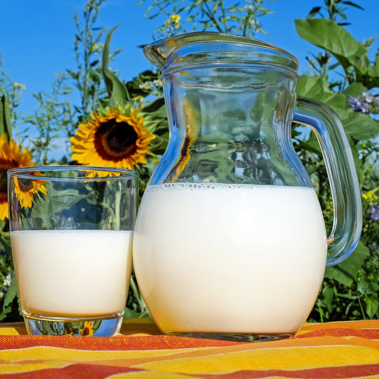 Die Ausfuhren vn Milchprodukten sind wertmäßig auf einem neuen Höchststand.