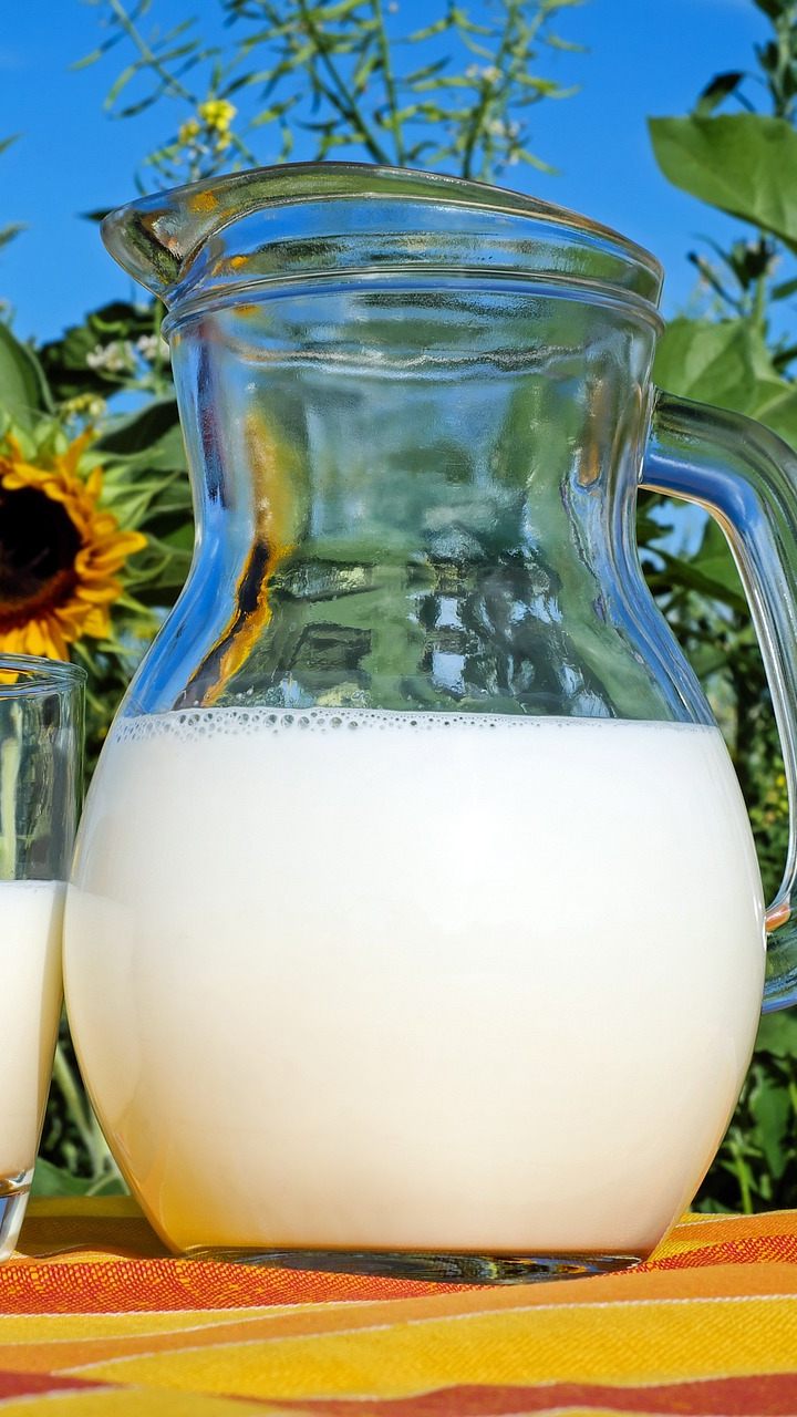 Die Ausfuhren vn Milchprodukten sind wertmäßig auf einem neuen Höchststand.