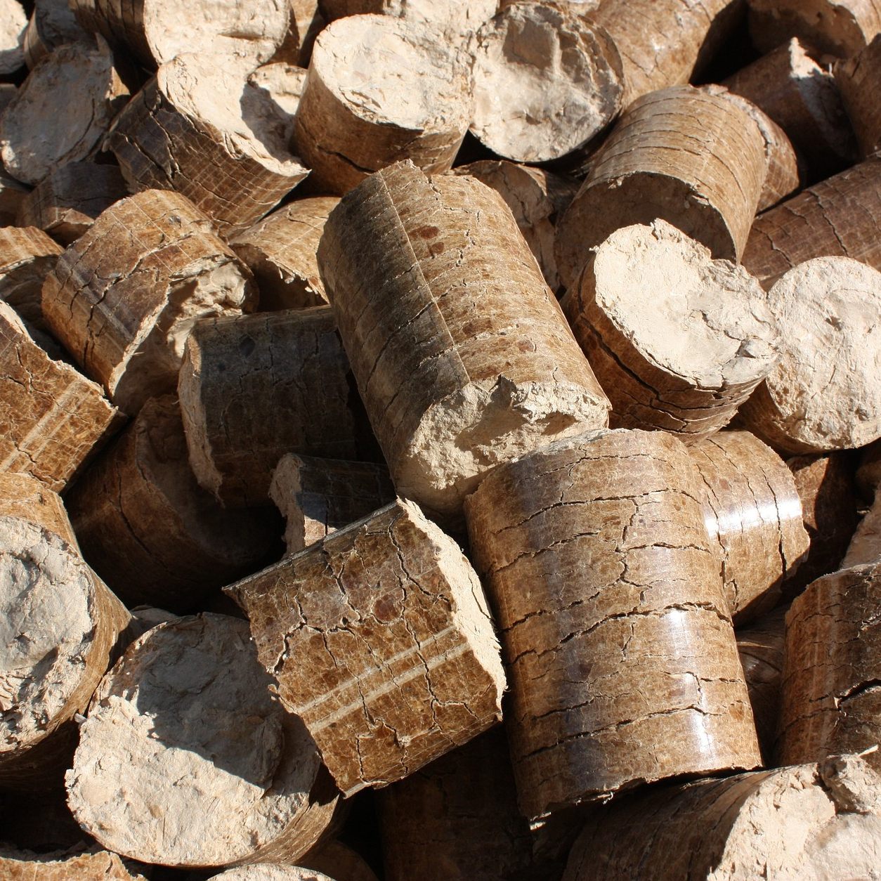 ProPellets fordert eine gesetzliche Bevorratungspflicht für Holzpellets.