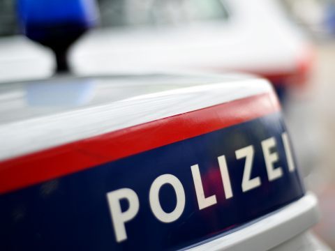 Die Polizei konnte eine Störaktion von Klimaaktivisten beim Wiener Neujahrskonzert verhindern.
