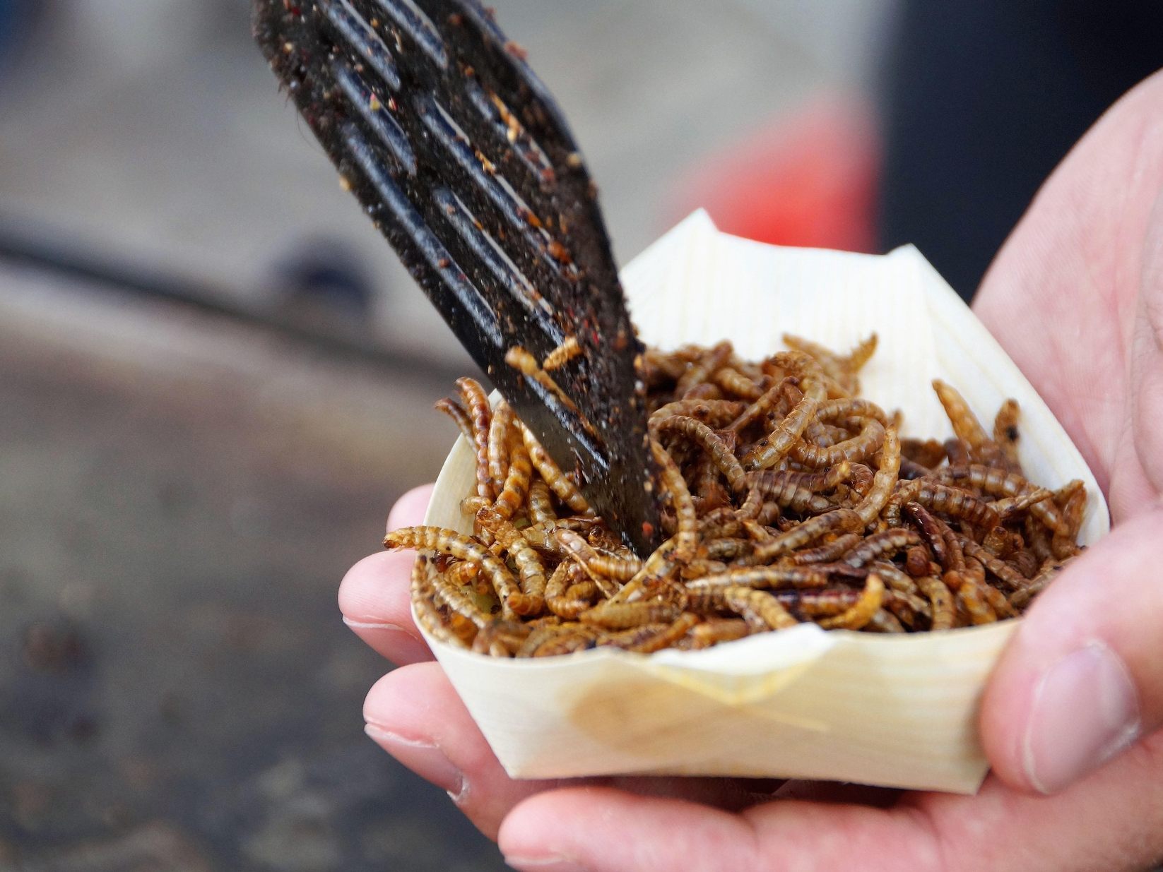 Kann man Insekten bedenkenlos essen? Kann man Insekten bedenkenlos essen?