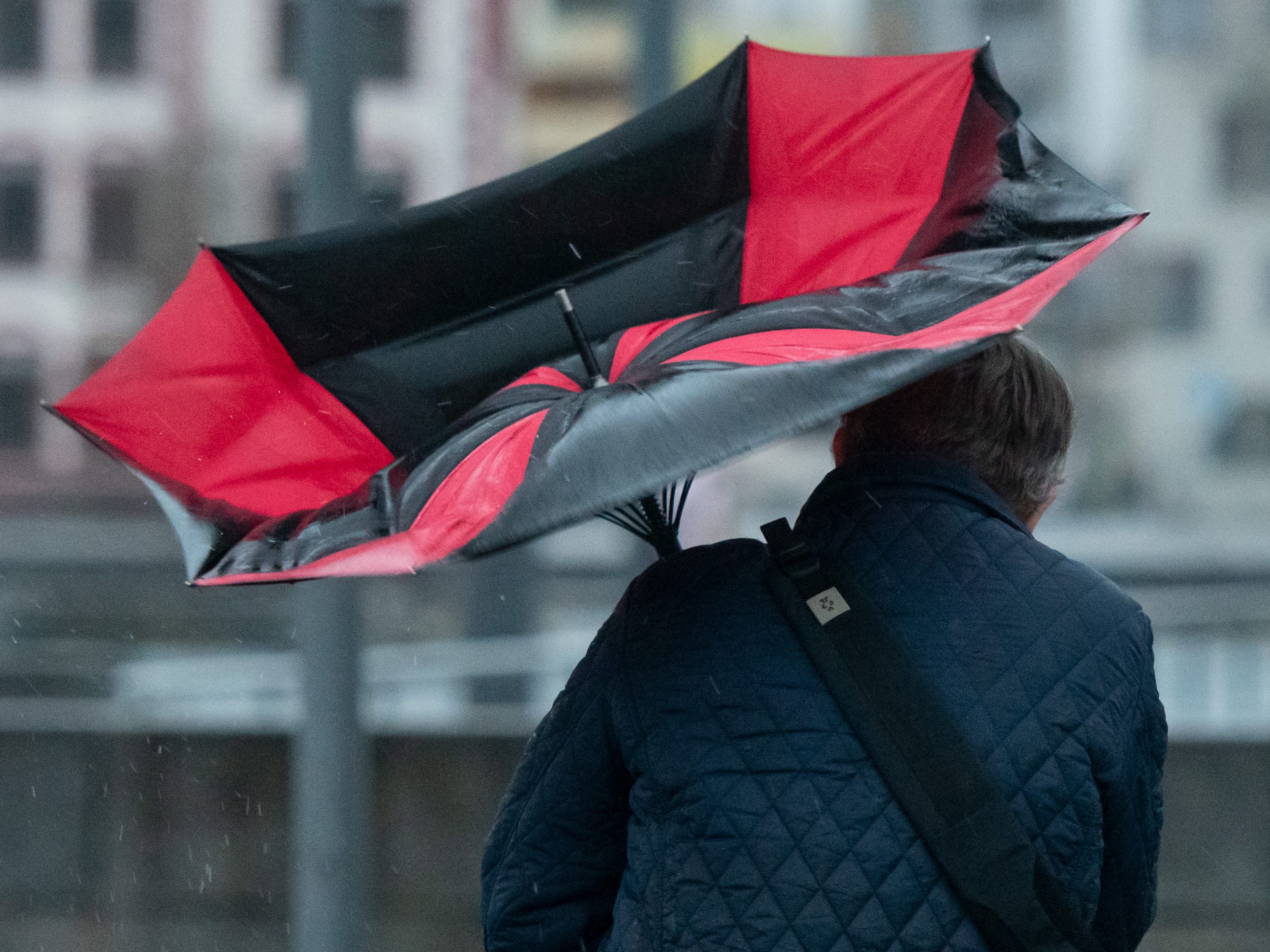 Die Sturmwarnung in Wien bleibt bis Samstag aufrecht.