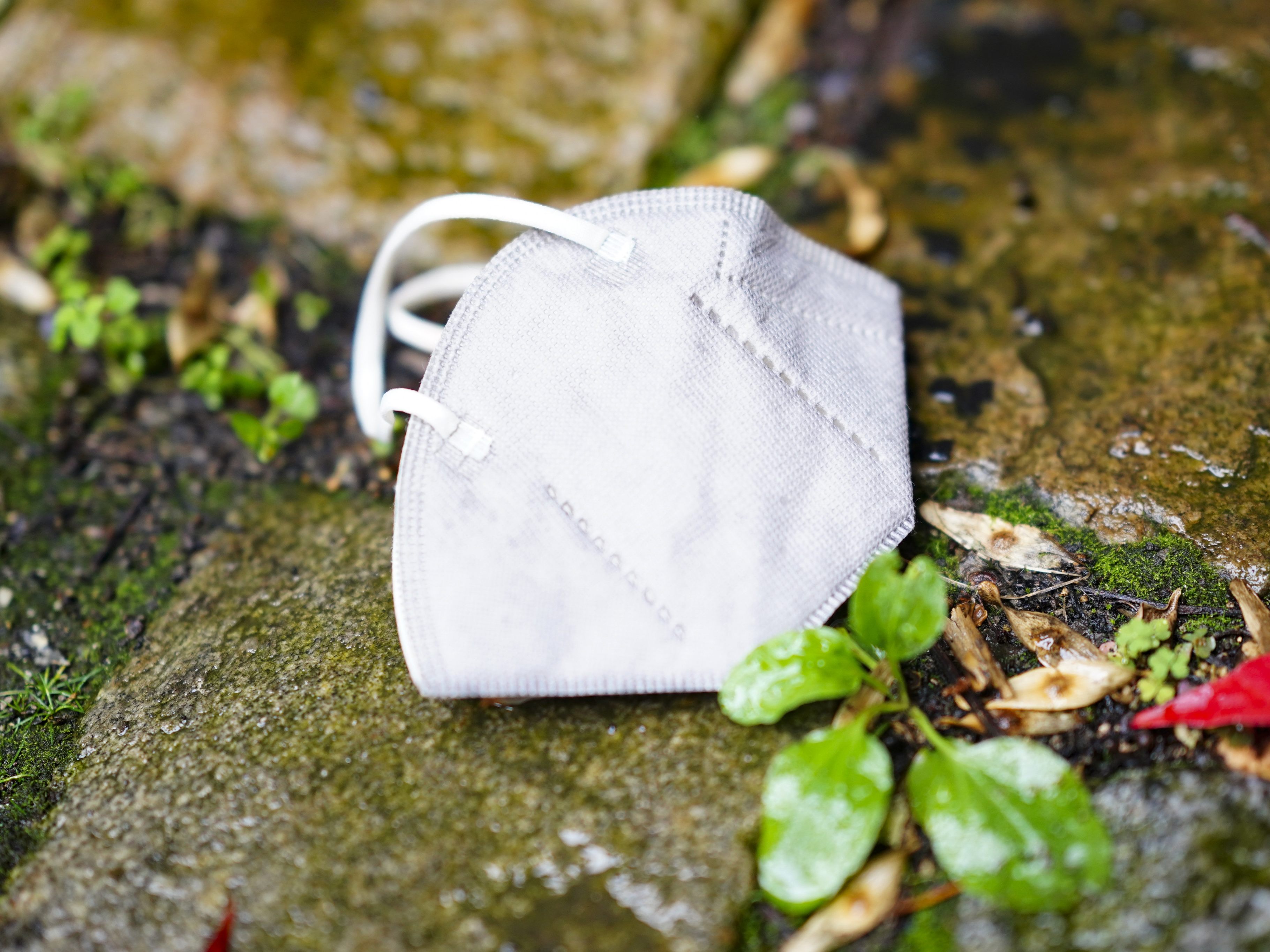 Maskenpflicht an Wiener Gerichten wird in weniger als zwei Wochen fallen. Maskenpflicht an Wiener Gerichten wird in weniger als zwei Wochen fallen.