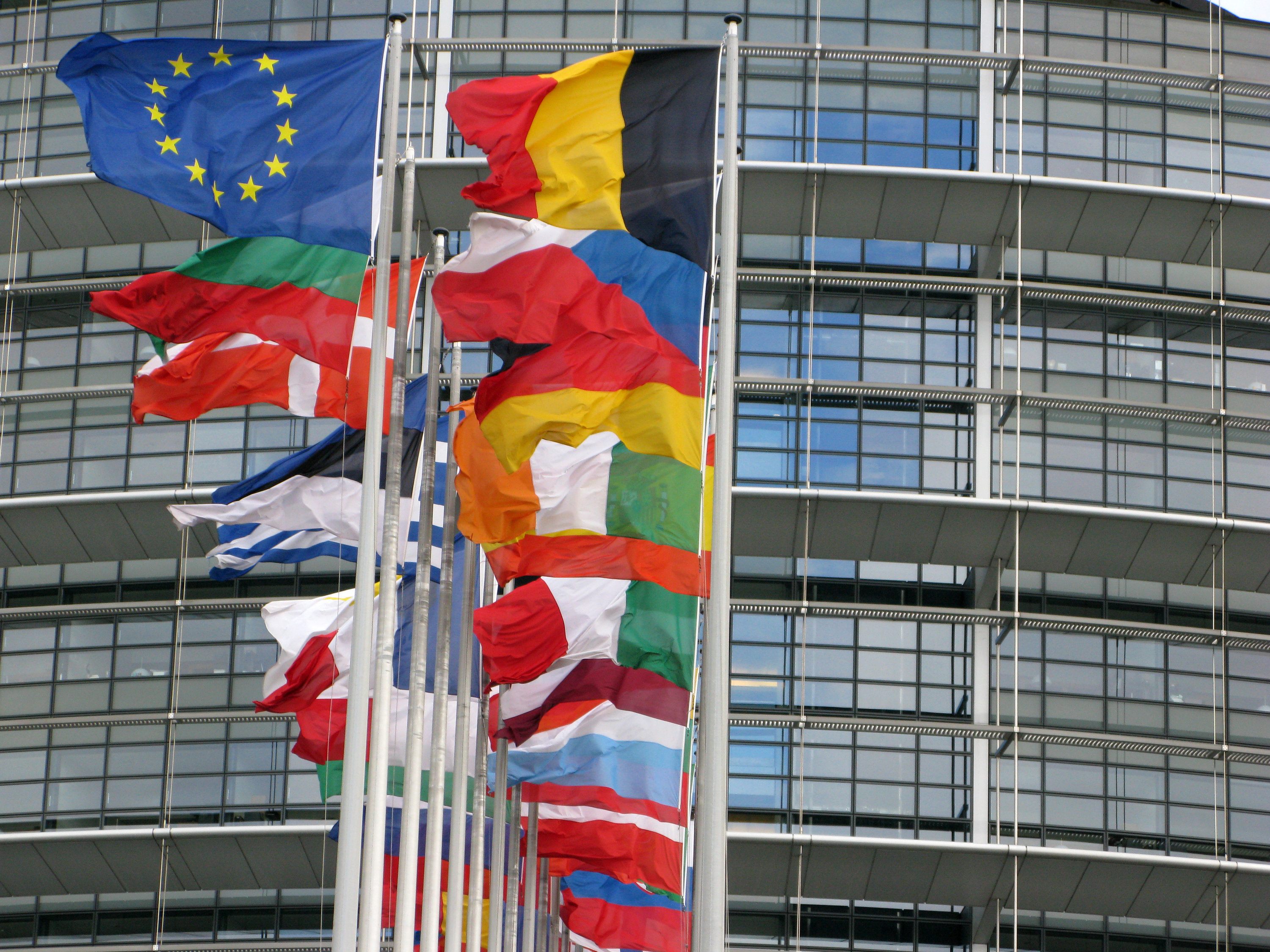 Die EU berät über Verbot gesundheitsschädlicher PFAS-Chemikalien. Die EU berät über Verbot gesundheitsschädlicher PFAS-Chemikalien.