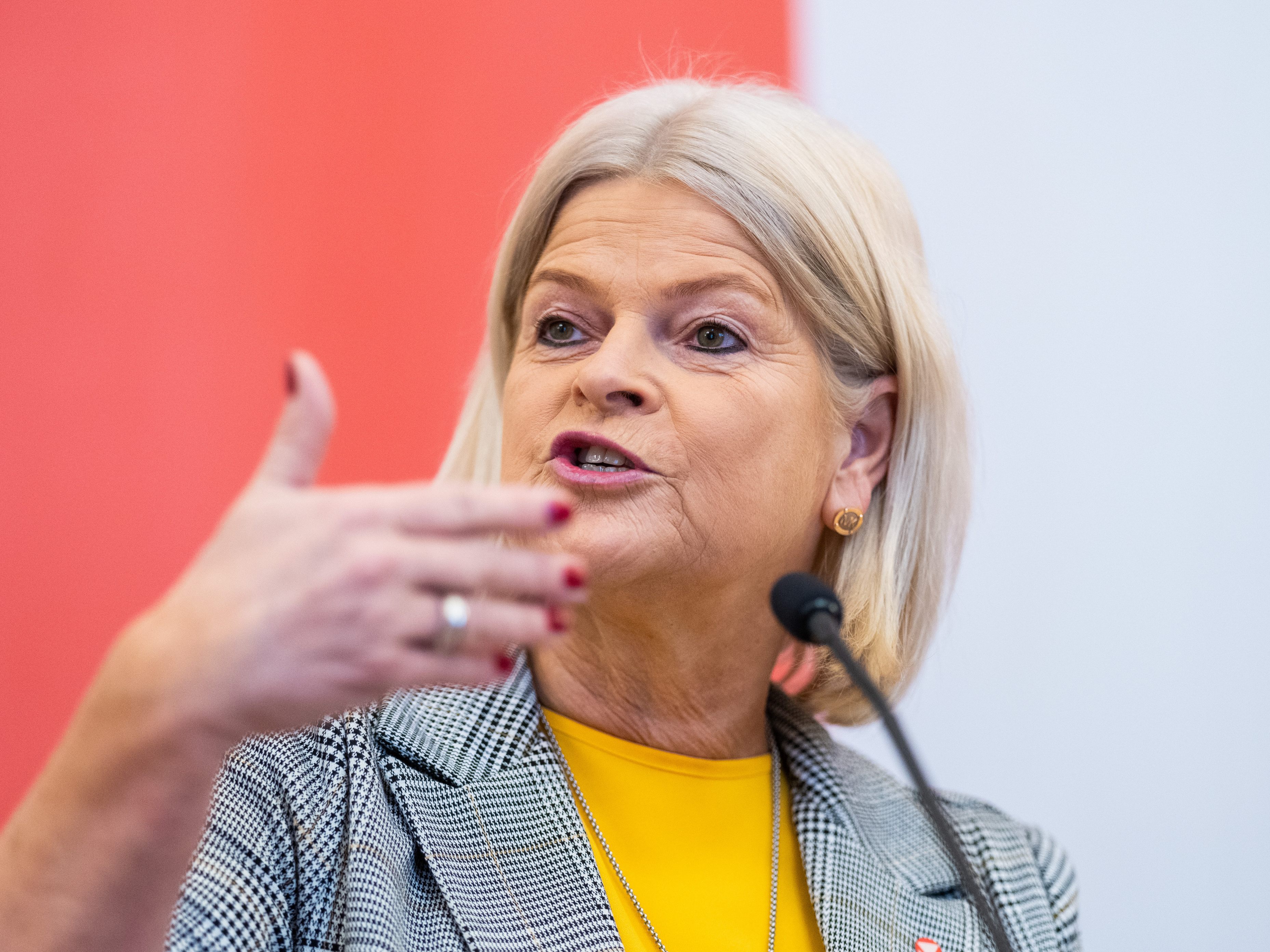 Verteidigungsministerin Klaudia Tanner (ÖVP) äußerte sich bei ihrem Besuch in Slowenien zu dem Posting der Freiheitlichen Jugend Kärnten. Verteidigungsministerin Klaudia Tanner (ÖVP) äußerte sich bei ihrem Besuch in Slowenien zu dem Posting der Freiheitlichen Jugend Kärnten.