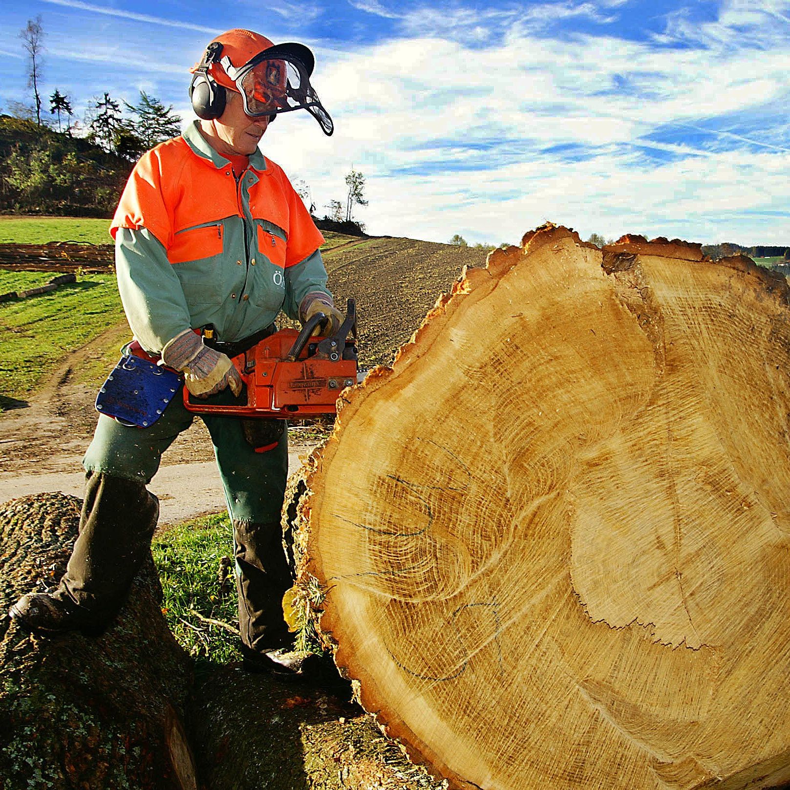 Mitarbeiter der Holz- und Sägeindustrie bekommen deutlich mehr Geld.