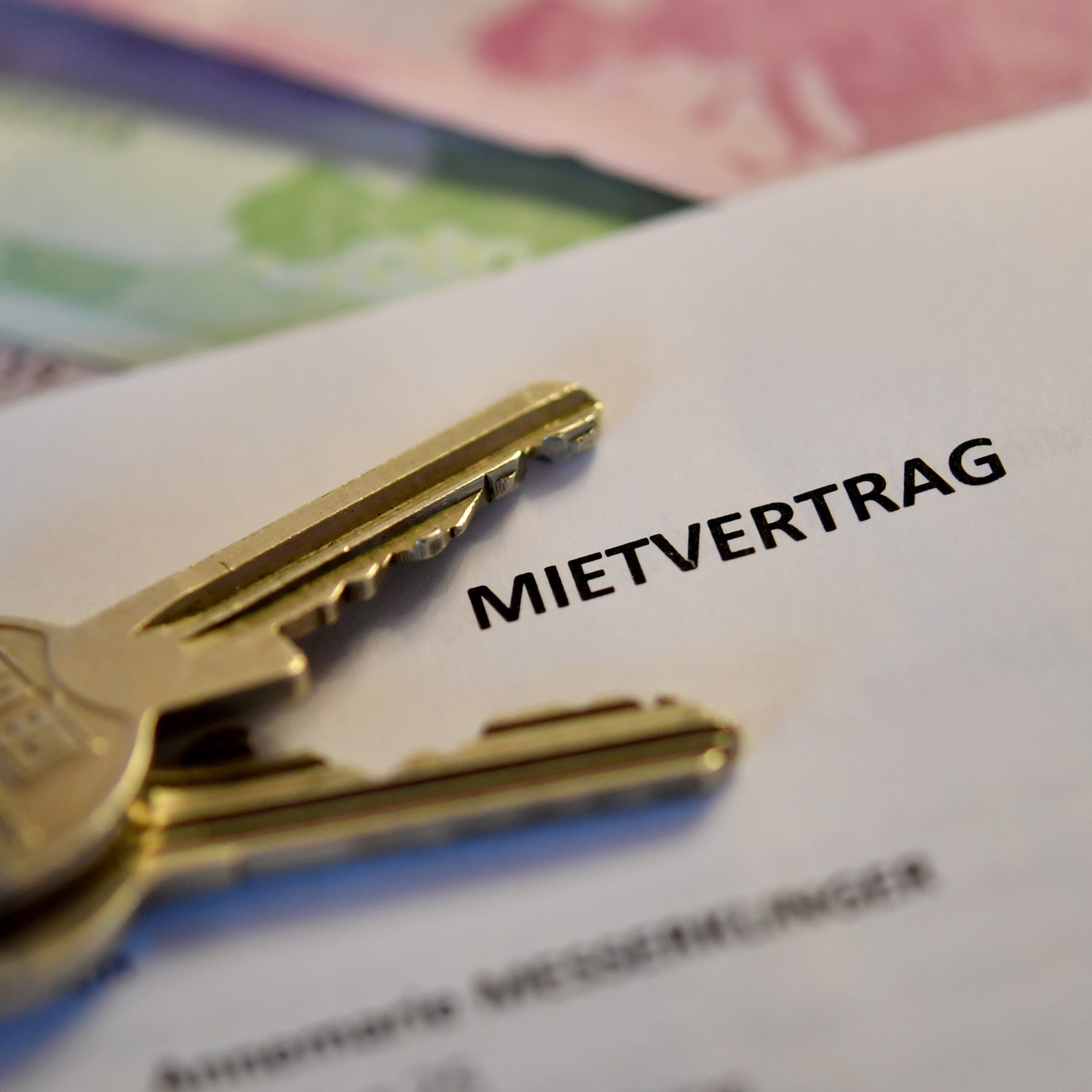 Laut Momentum Institut könnte eine Mietpreisbremse auch die Inflation bremsen.