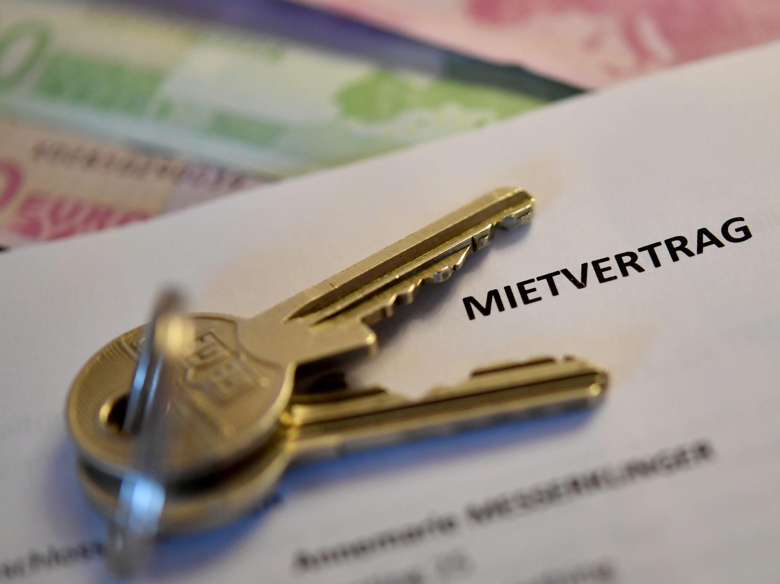 Laut Momentum Institut könnte eine Mietpreisbremse auch die Inflation bremsen.