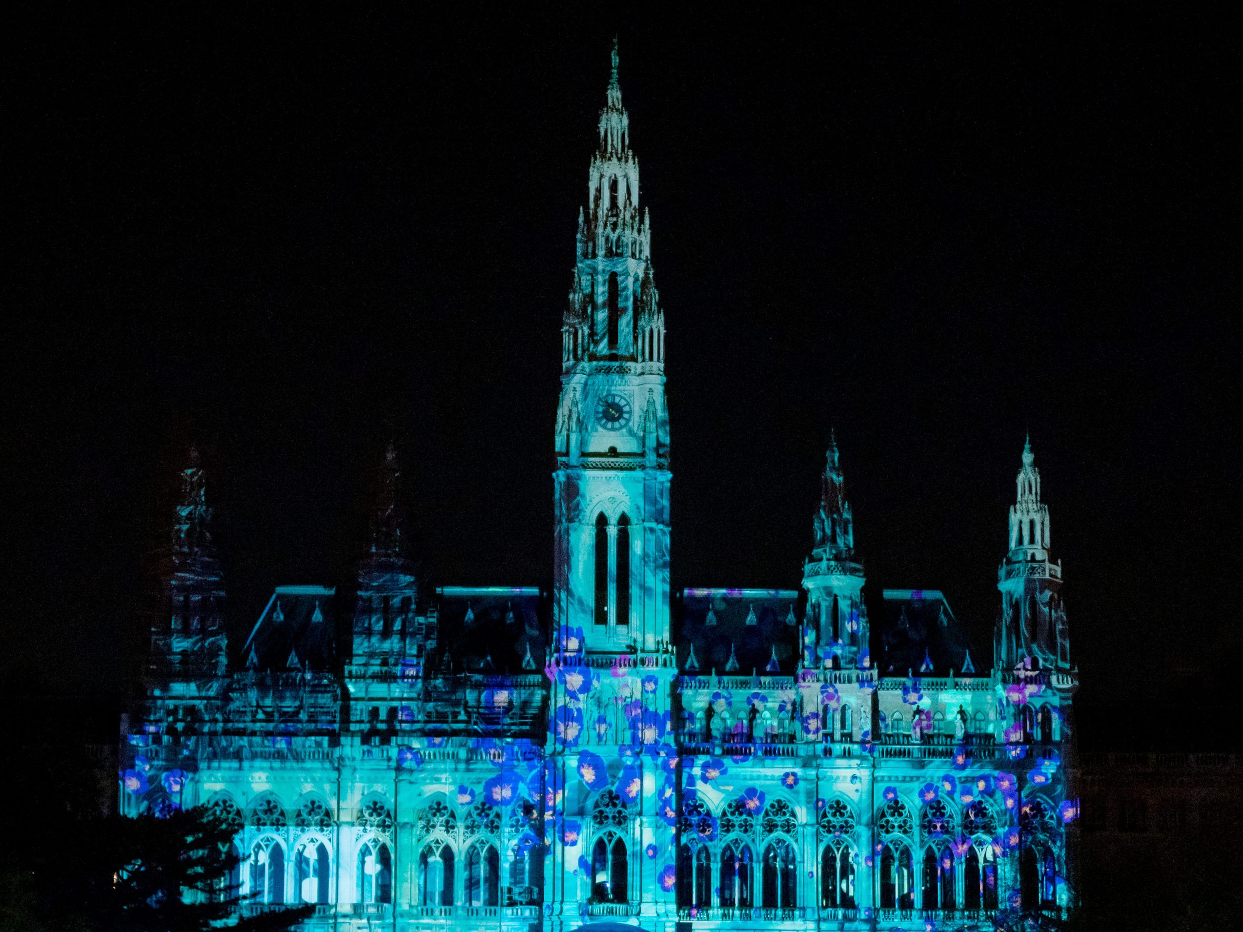 Der Flüchtlingsball findet auch in diesem Jahr wieder im Wiener Rathaus statt.