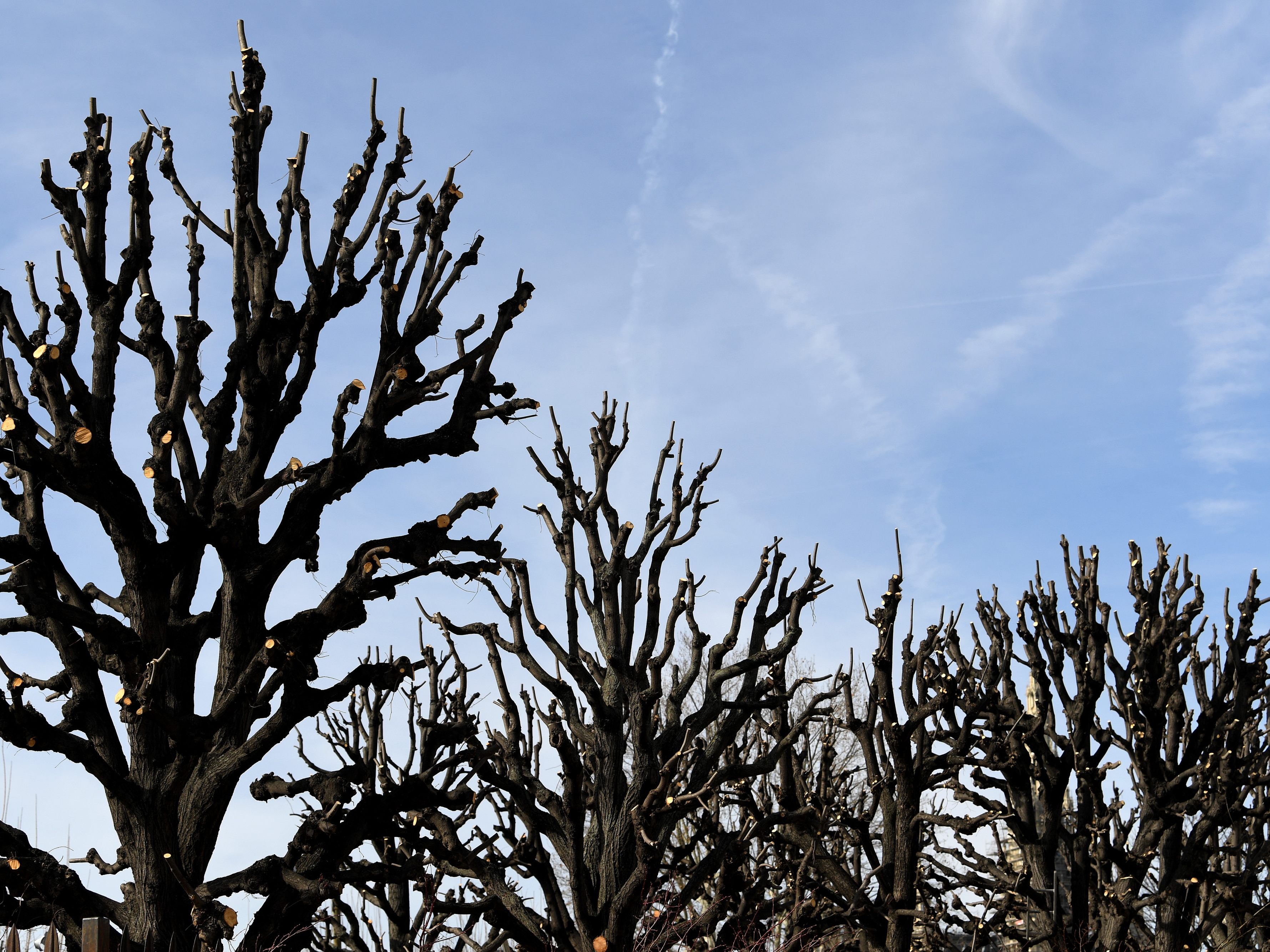 Das Wetter kommende Woche wird etwas milder. Das Wetter kommende Woche wird etwas milder.
