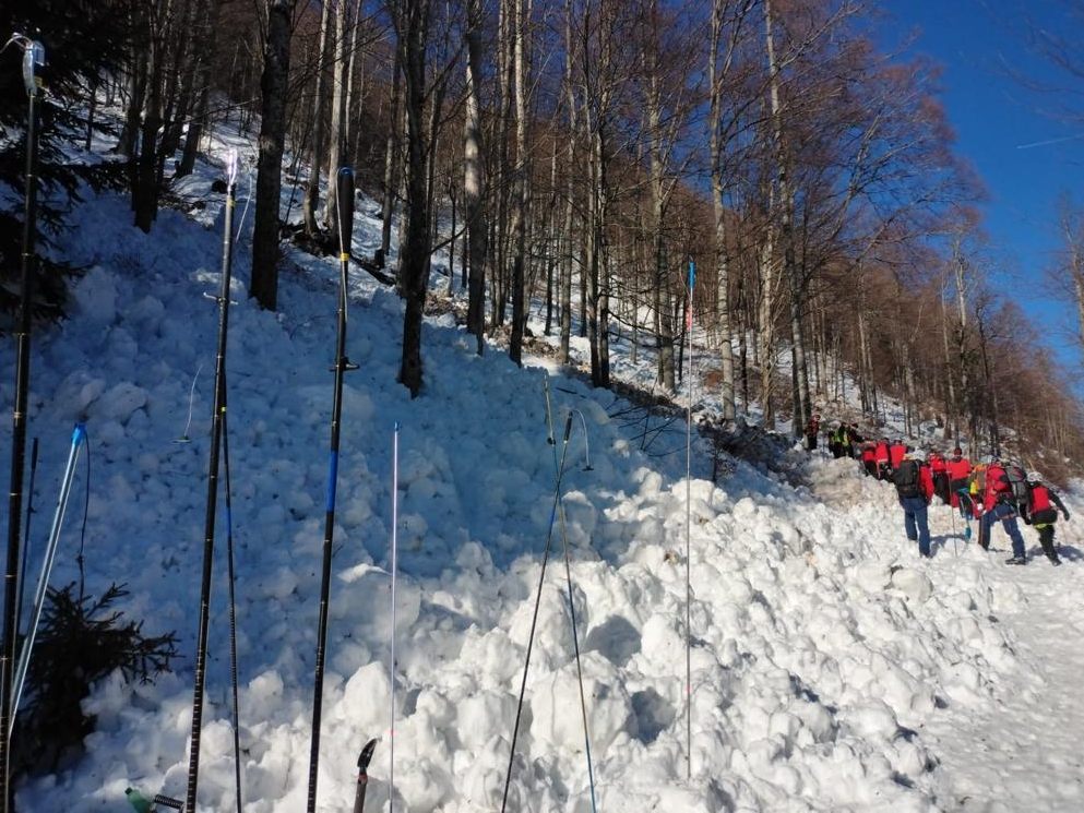 Eine verschüttete Person konnte nach dem Lawinenabgang in NÖ gerettet werden. Eine verschüttete Person konnte nach dem Lawinenabgang in NÖ gerettet werden.