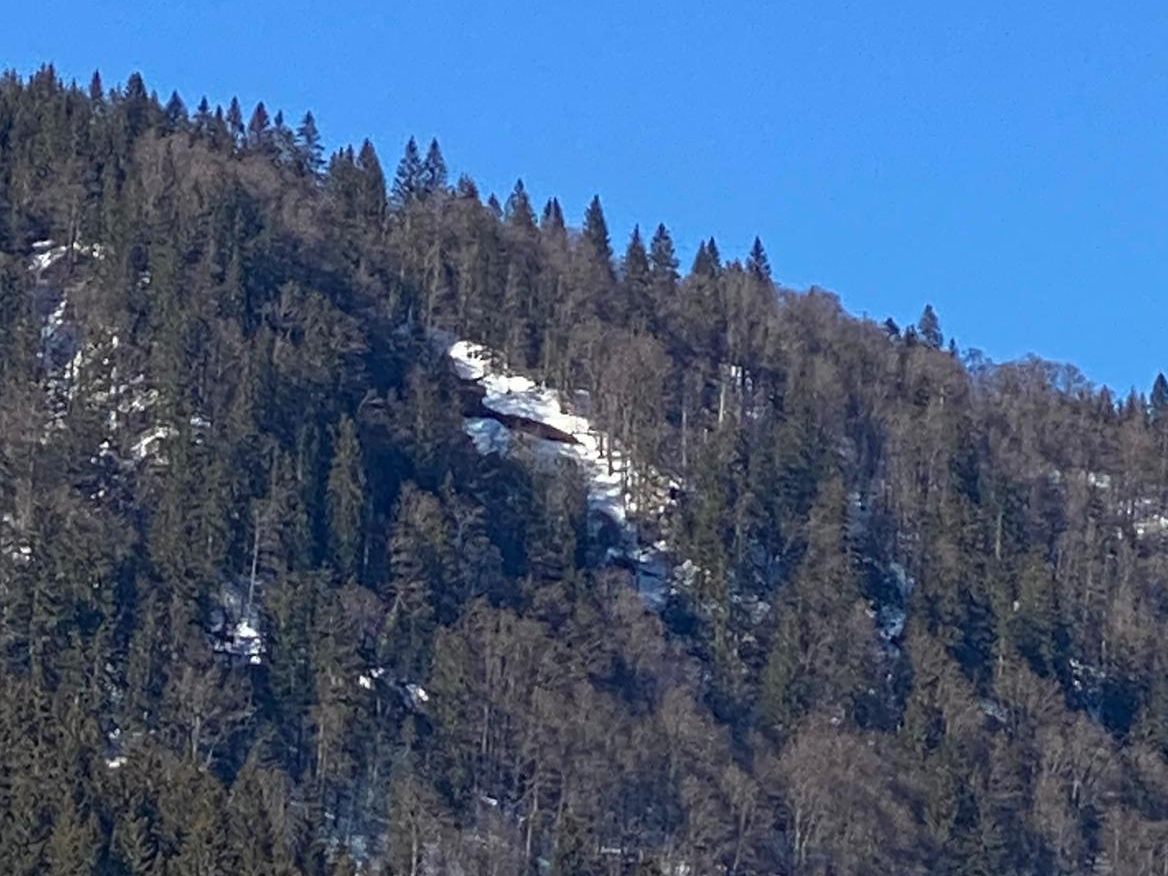 Nach einem Lawinenabgang in NÖ wird nach möglichen Verschütteten gesucht.