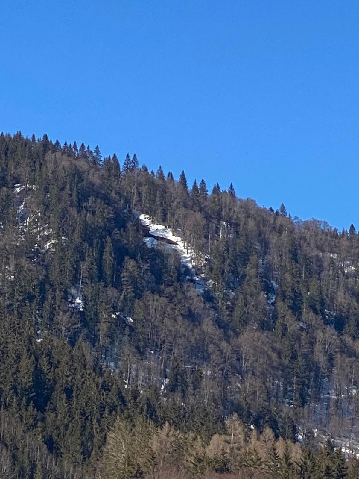 Lawine in NÖ Lawine in NÖ