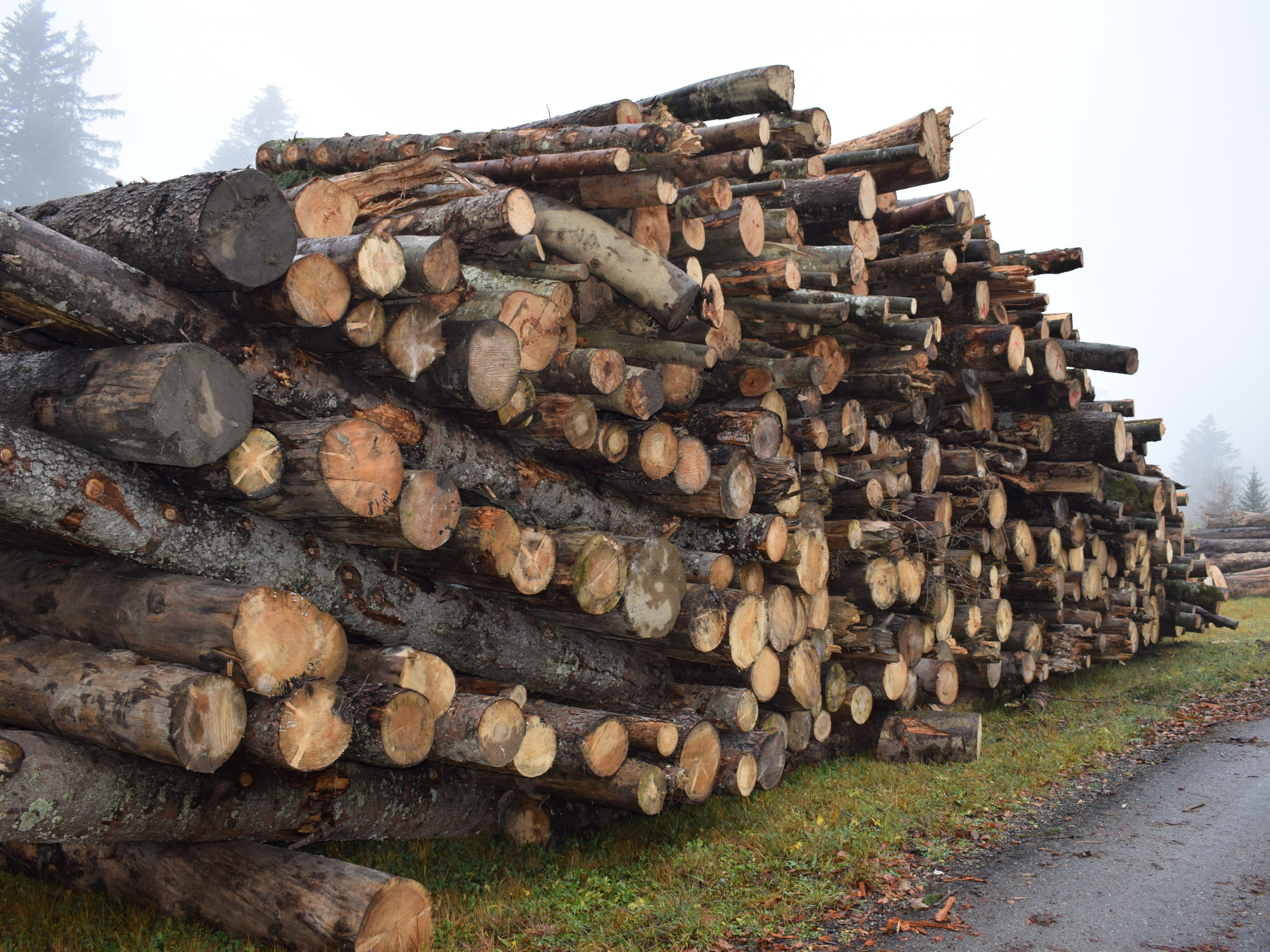 Nicht nur die Preise von Strom und Gas, sondern auch die von Brennholz und Pellets steigen.