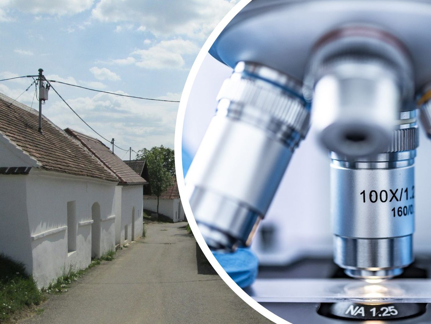 Im Fall jenes Mannes, der mit seiner Frau und sechs Kindern in einer Kellertrift in NÖ gelebt hatte, liegen nun die DNA-Ergebnisse vor. Im Fall jenes Mannes, der mit seiner Frau und sechs Kindern in einer Kellertrift in NÖ gelebt hatte, liegen nun die DNA-Ergebnisse vor.