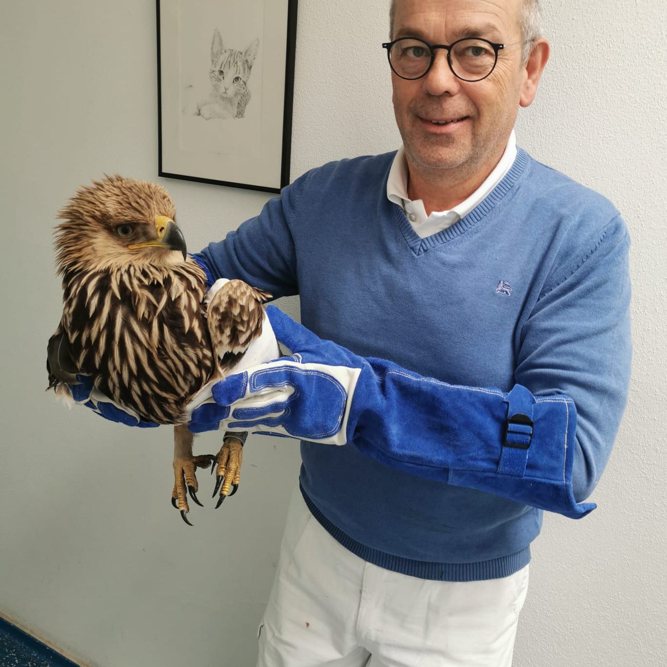 BirdLife Österreich: In Tulln angeschossener Kaiseradler kam in Tschechien zur Welt.
